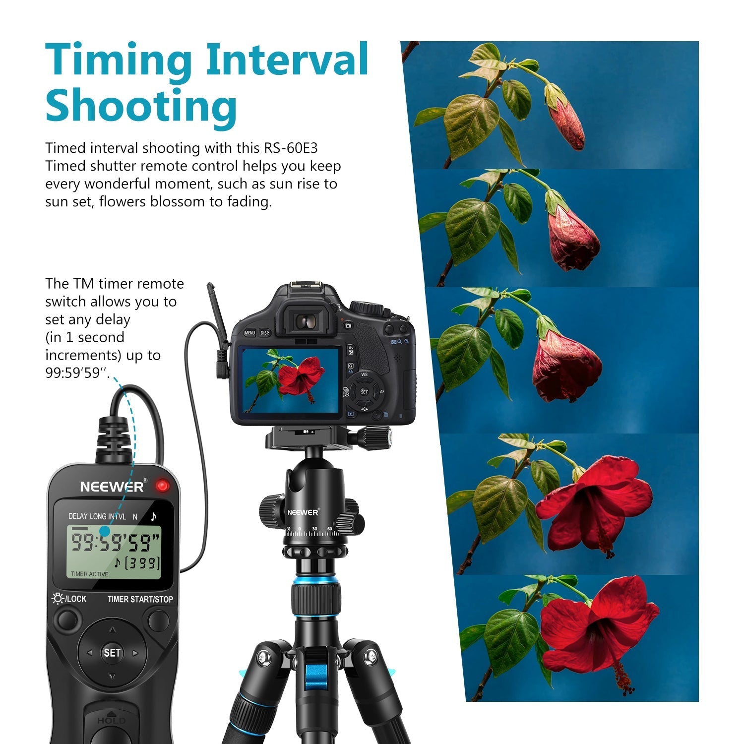 NEEWER Timer Remote Control for Canon/Contax/Pentax