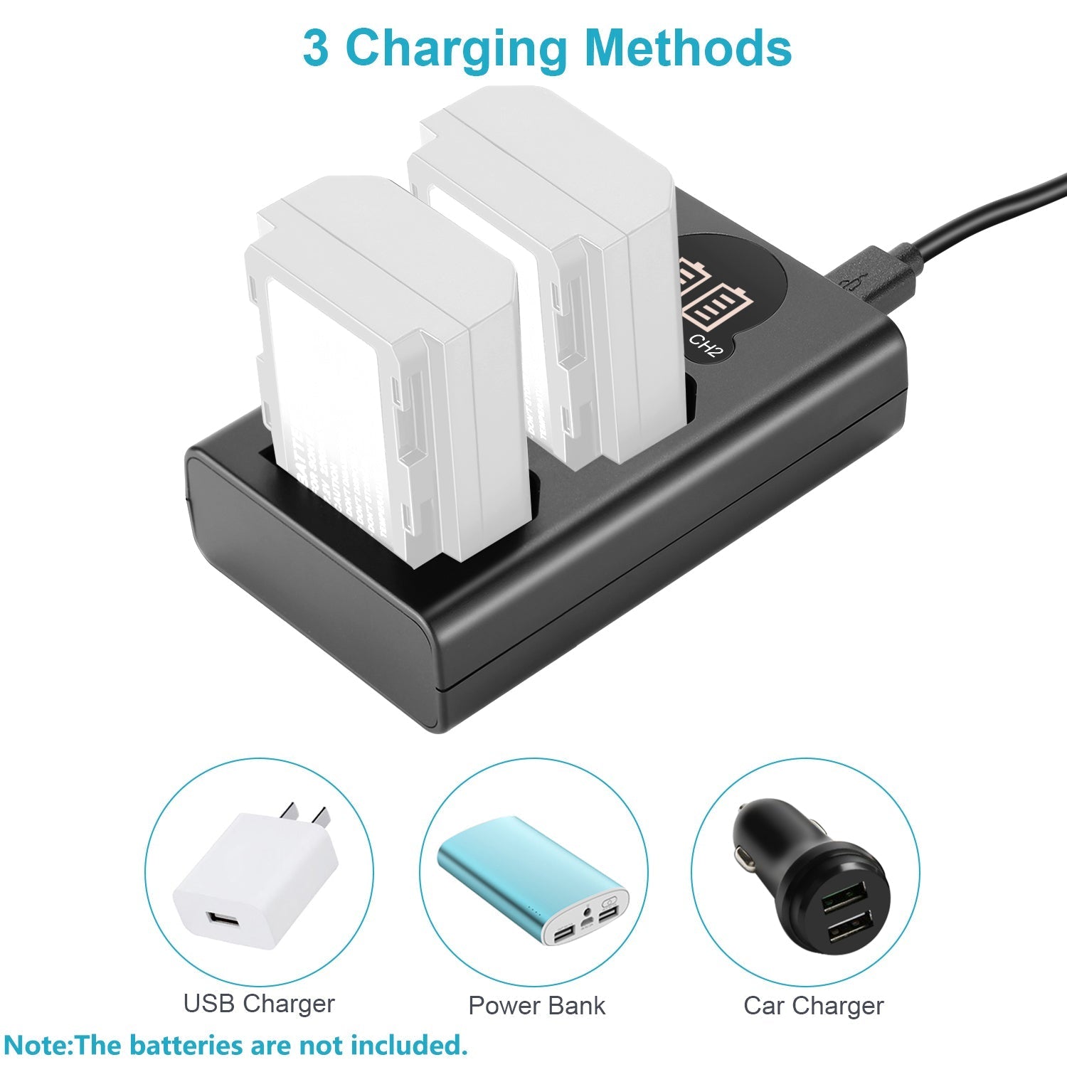 NEEWER Dual Charger for Sony NP-FZ100