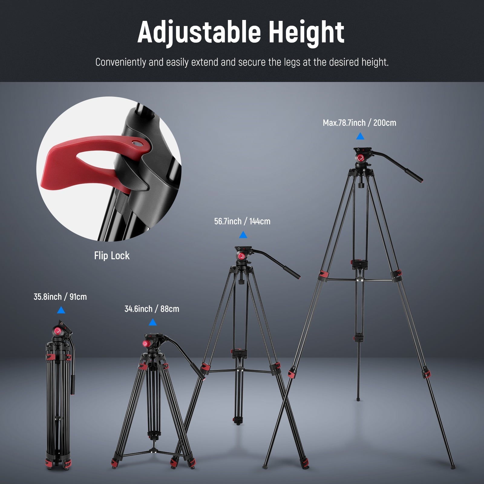 NEEWER TP-M200 79" Heavy Duty Video Tripod