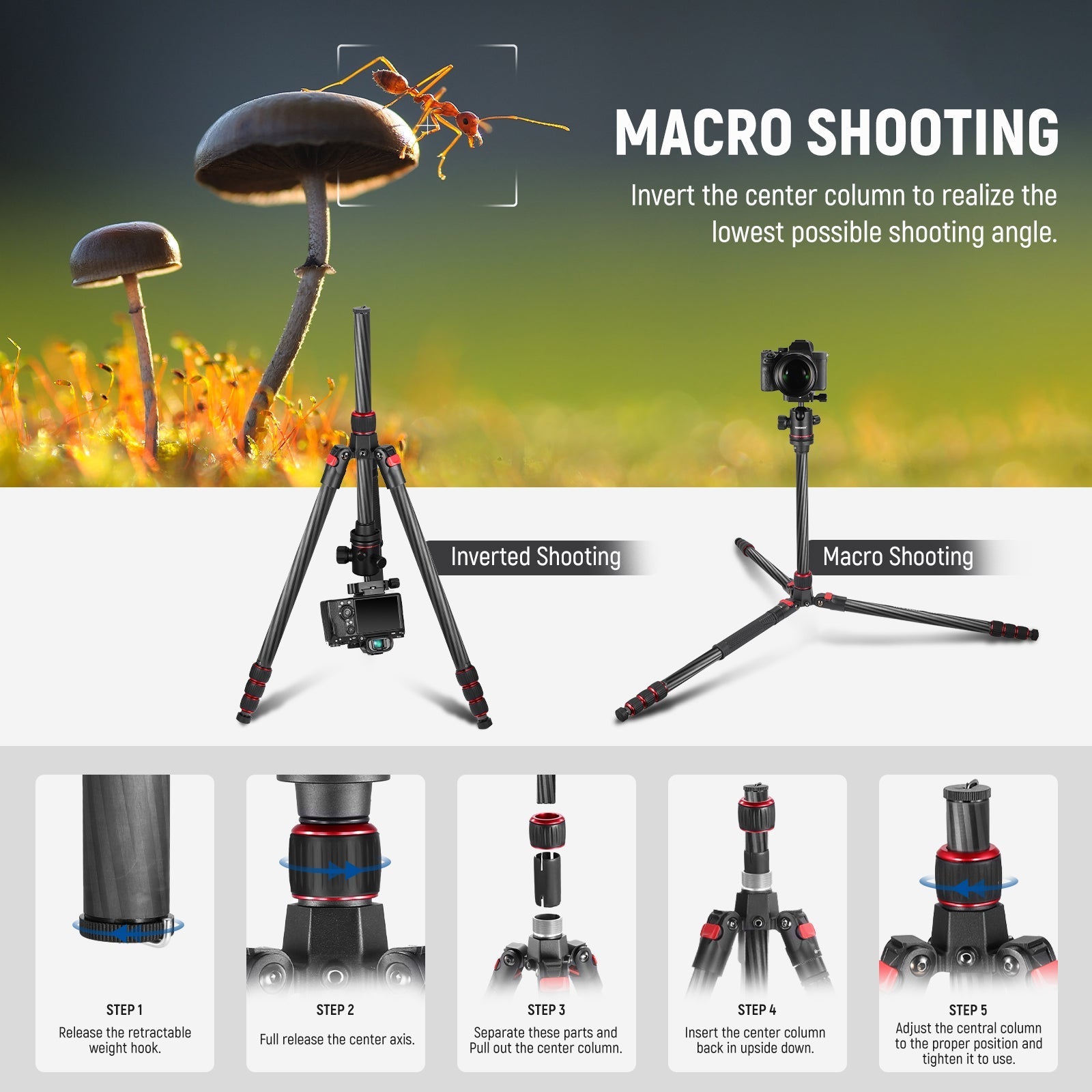 NEEWER N55C 68" Carbon Fiber Tripod Monopod