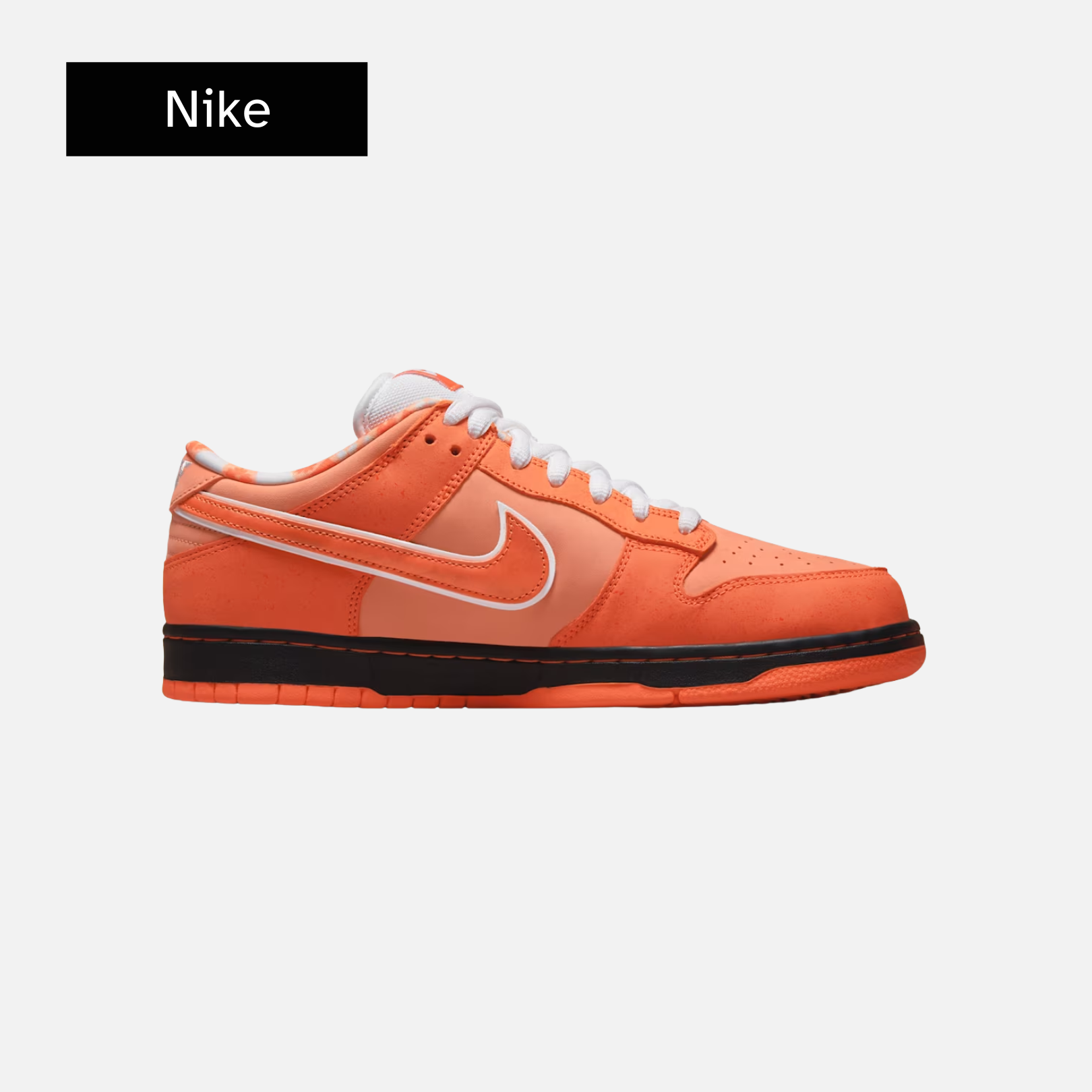 Concepts x Nike Dunk Low SB 'Orange Lobster'