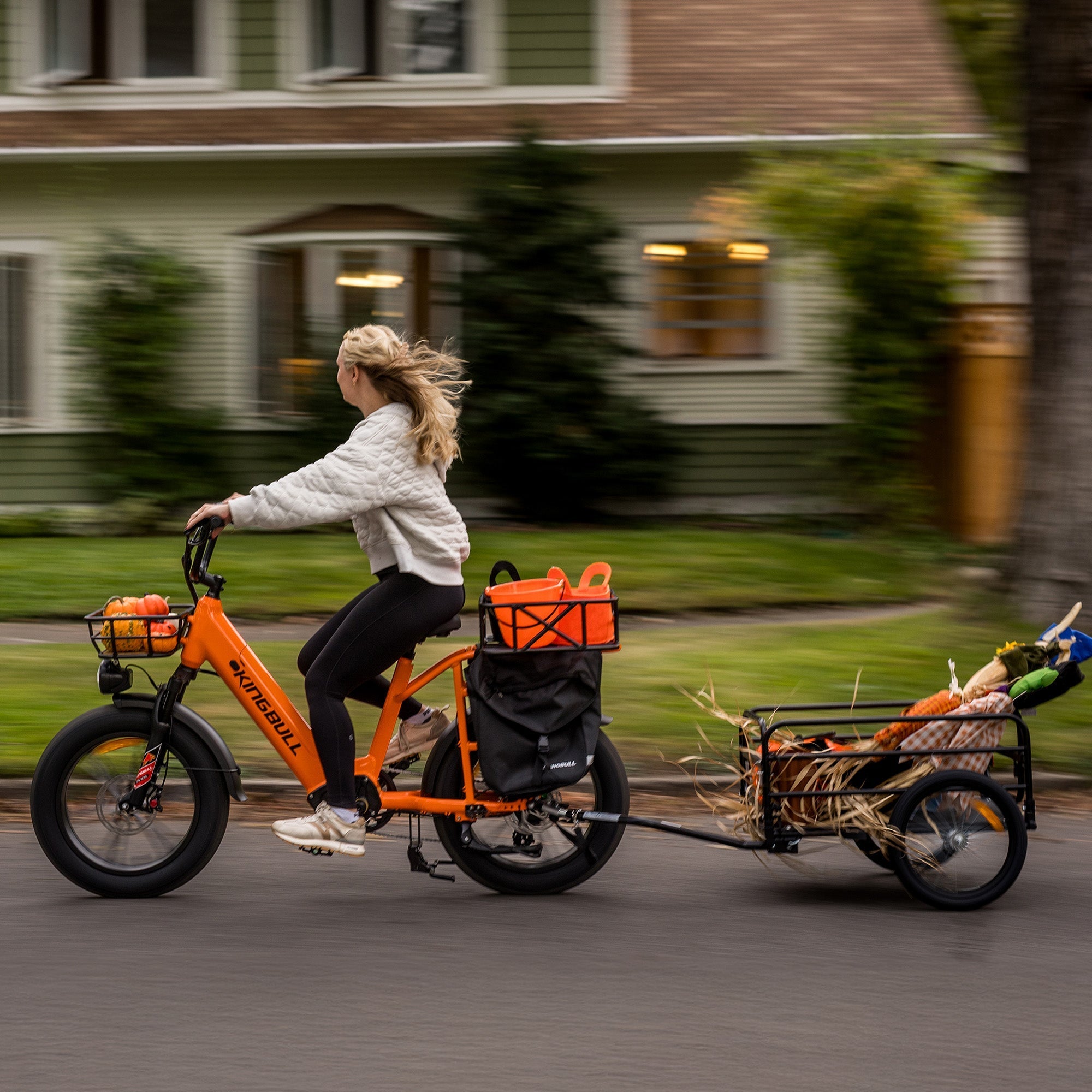 Pedod Voyager 2.0 | Fat Tire Electric Cargo Bike