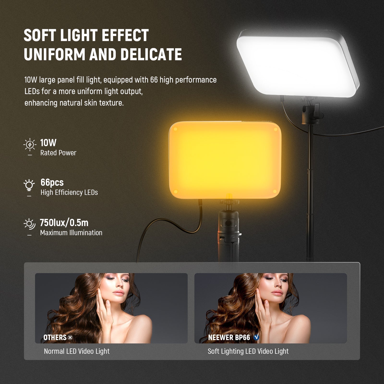 NEEWER BASICS BP66 LED Video Panel Desk Light