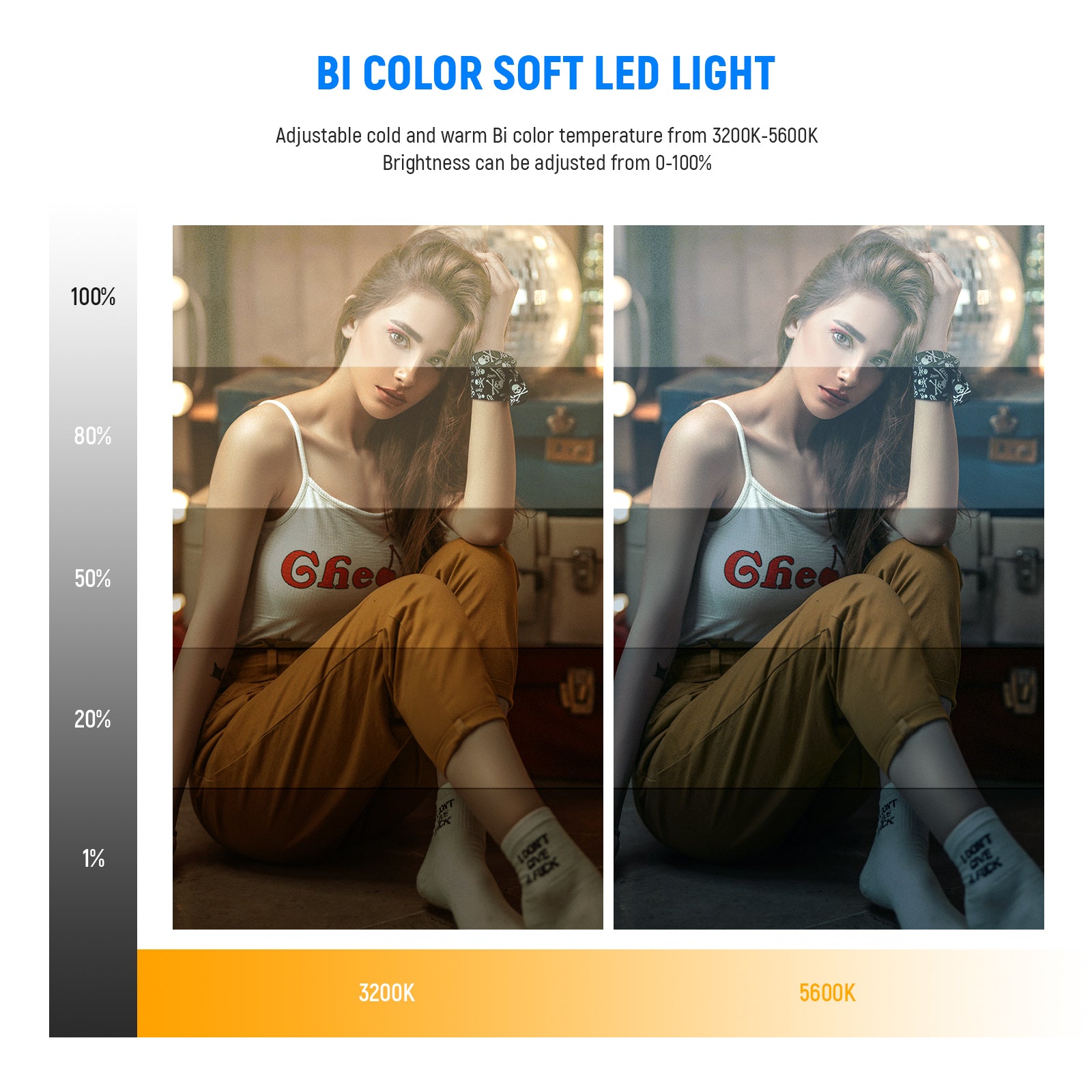 NEEWER NL-192AI Bi-Color LED Panel Light