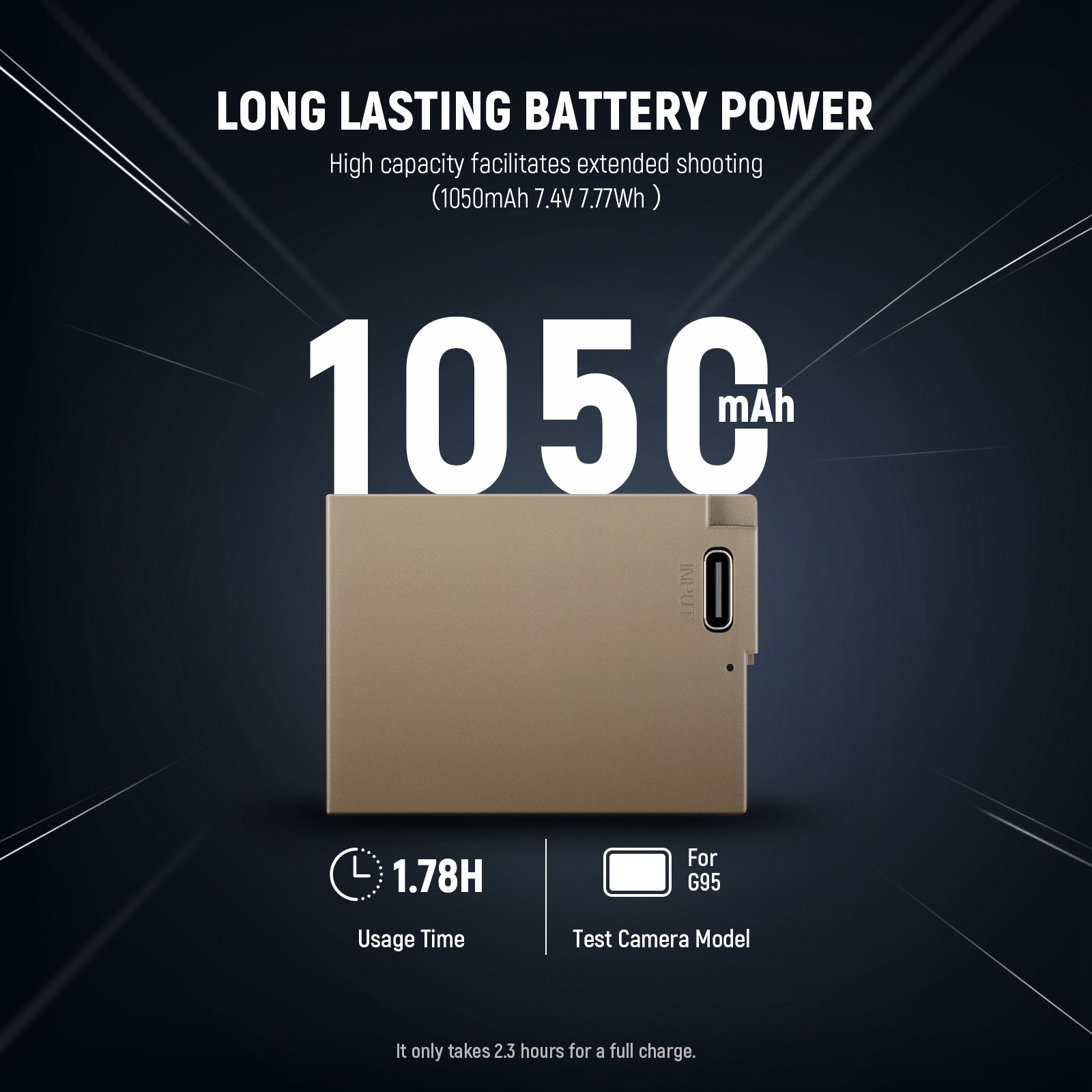 NEEWER DMW-BLC12 1100mAh Replacement Battery For Lumix Cameras