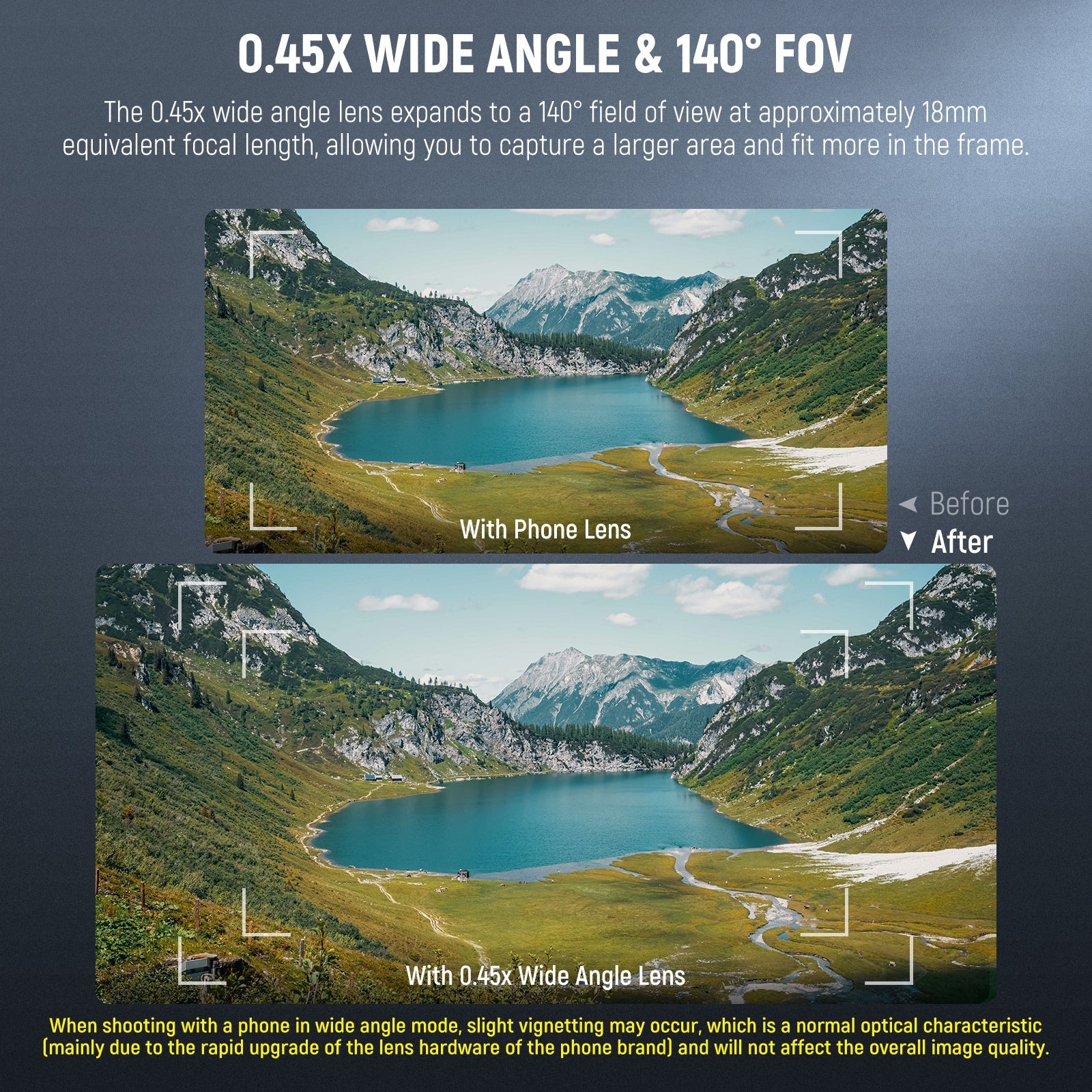 NEEWER BASICS LS-67 2 In 1 0.45x Wide Angle + 15x Macro Phone Lens Kit