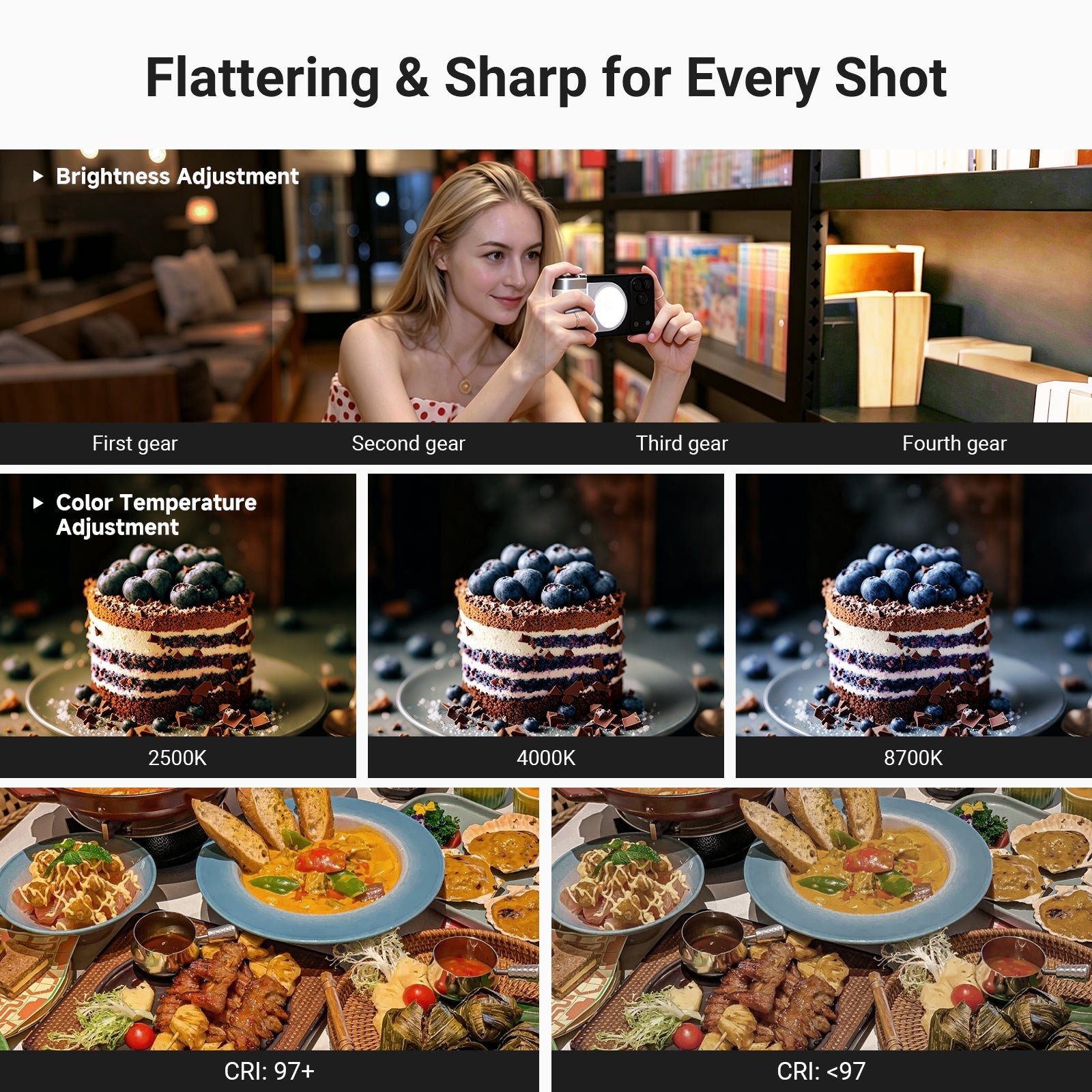 NEEWER BASICS HS01 Magnetic Phone Camera Grip