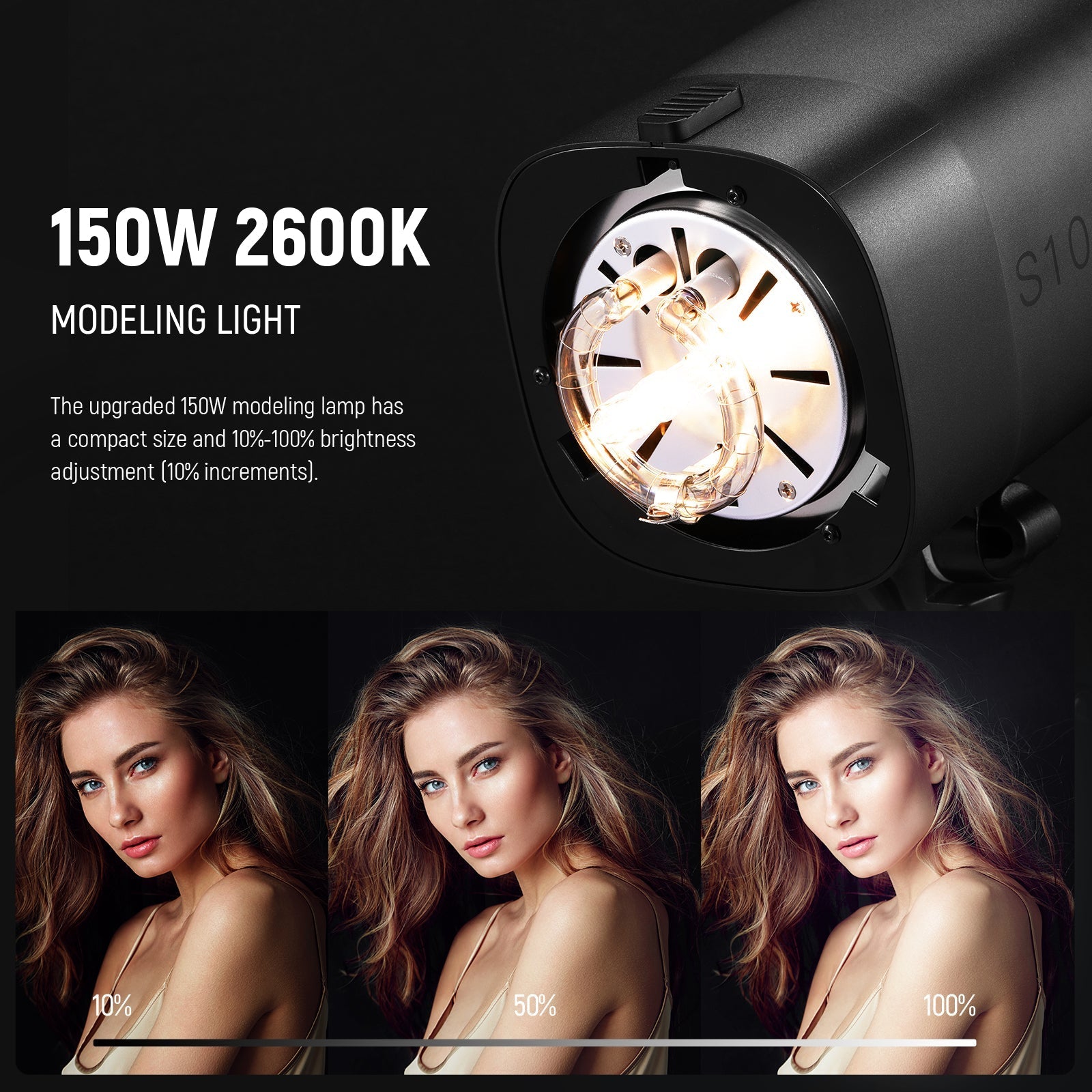 NEEWER 2 Pack S101-400W PRO 400Ws Studio Monolight Flash Light Kit