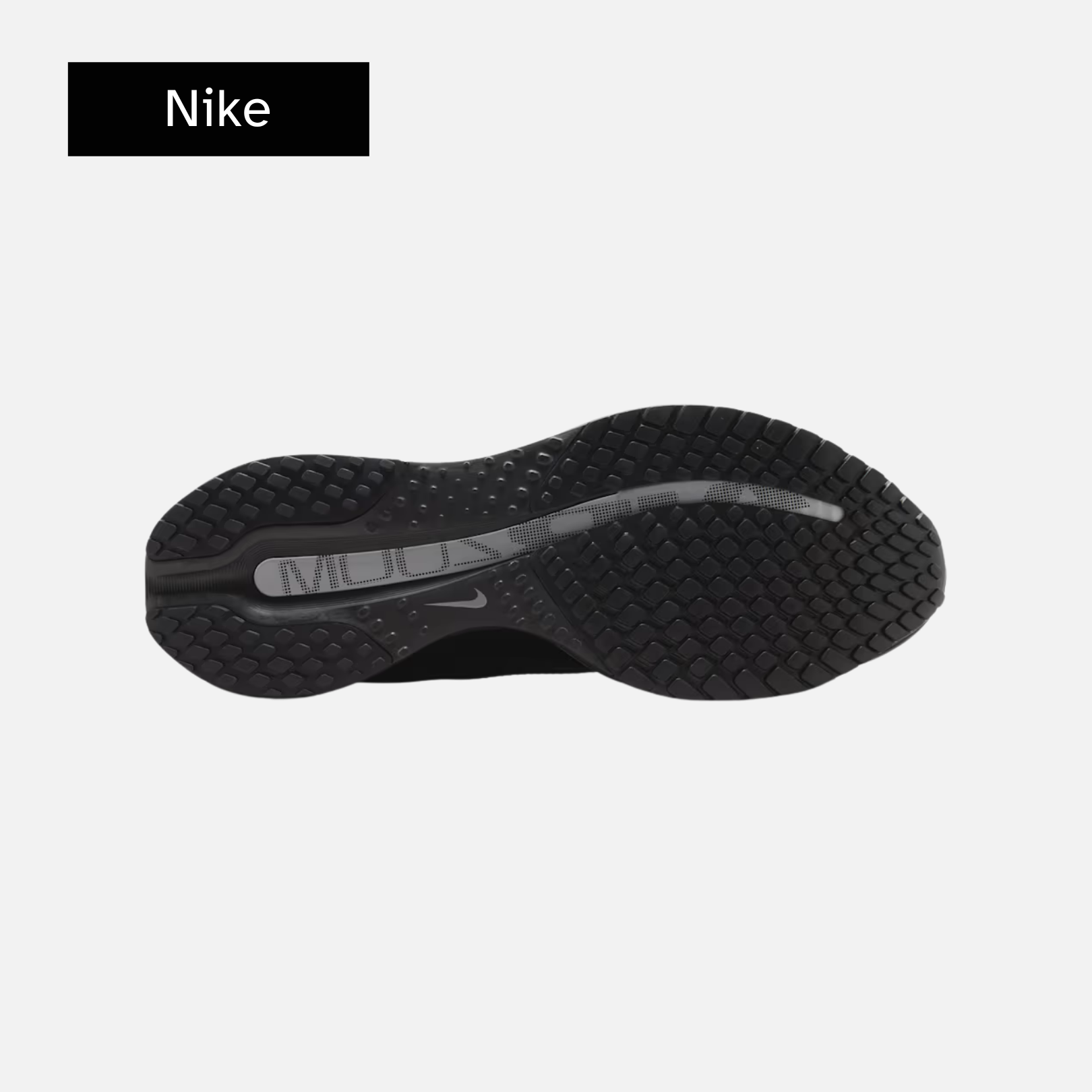 Nike Pegasus Premium 'Black Metallic Silver'