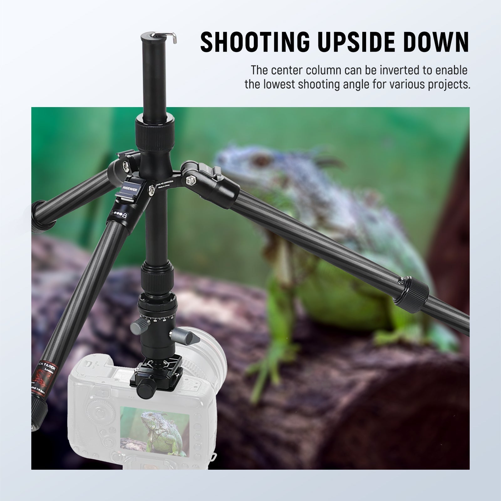 NEEWER TP39 65" Carbon Fiber Camera Tripod