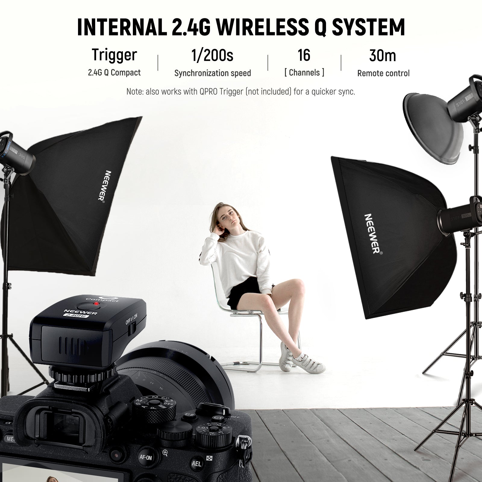 NEEWER 2 Pack S101-300W PRO 300Ws Studio Monolight Flash Light Kit