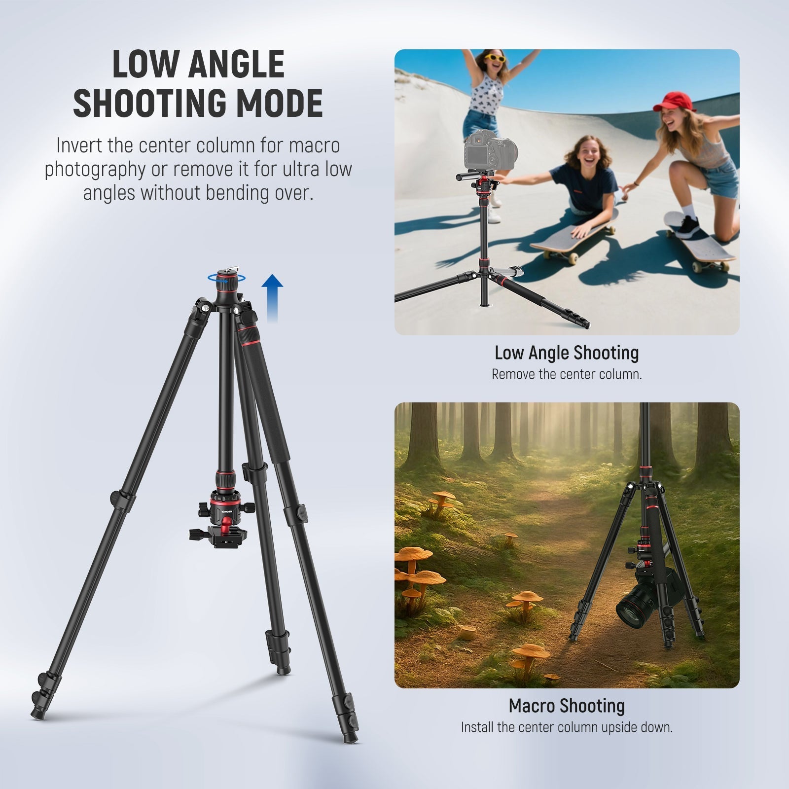 NEEWER TP08 77" Camera Tripod Monopod