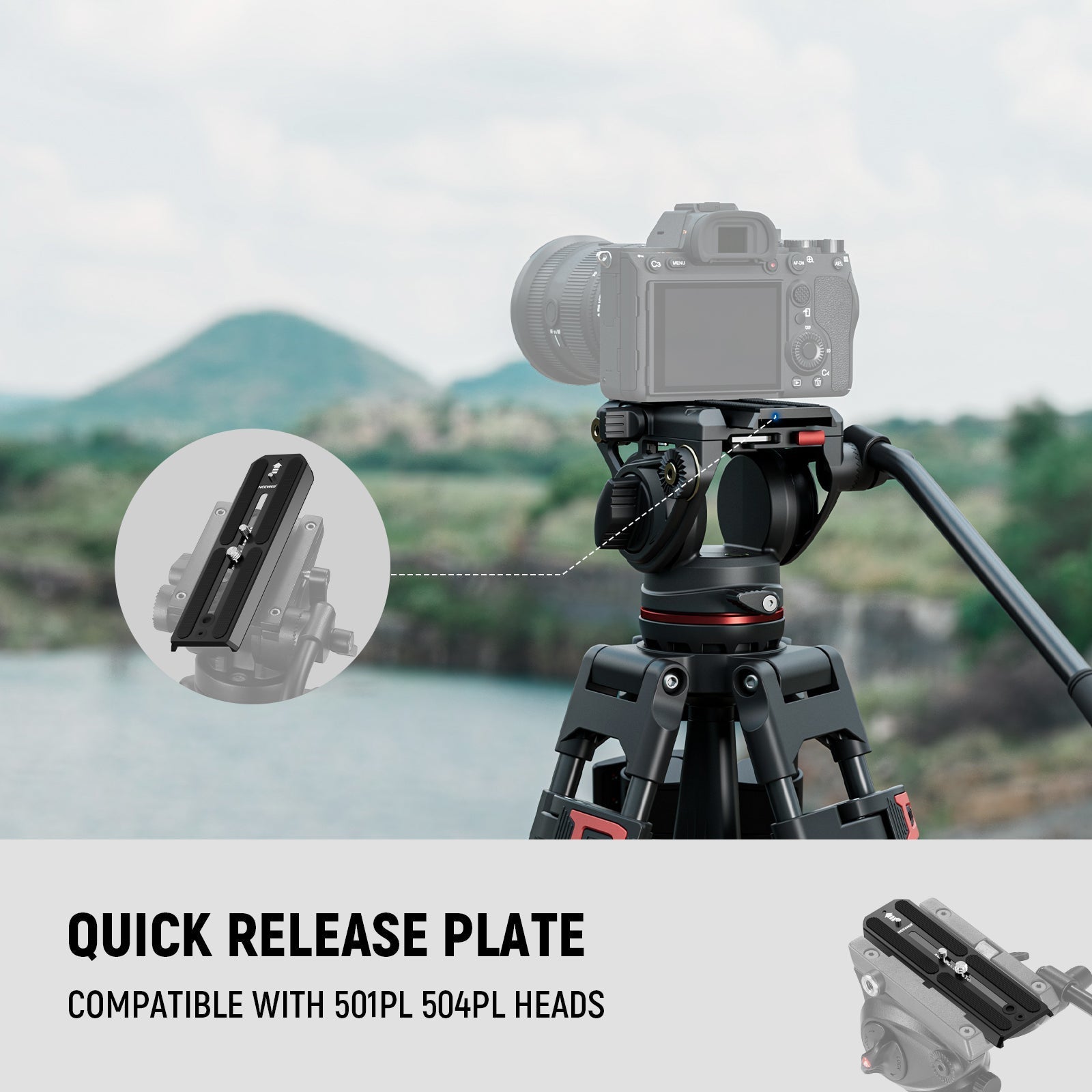 NEEWER QR6 Quick Release Plate For 501PL 504PL