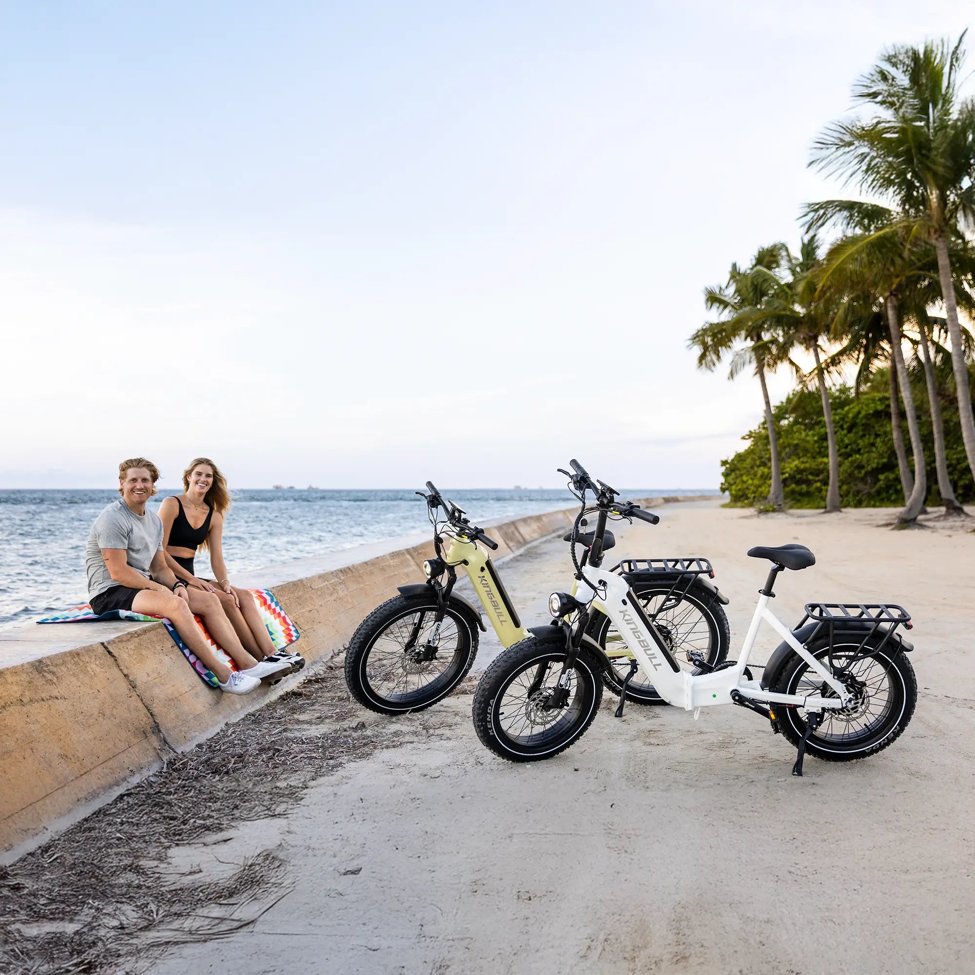 Pedod Verve | Long Range Fat Tire Folding Electric Bike