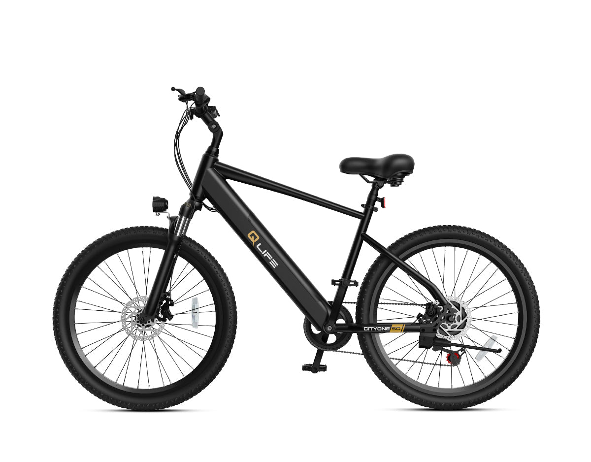 Cityone Step Over 2.0 Electric Mountain Bike