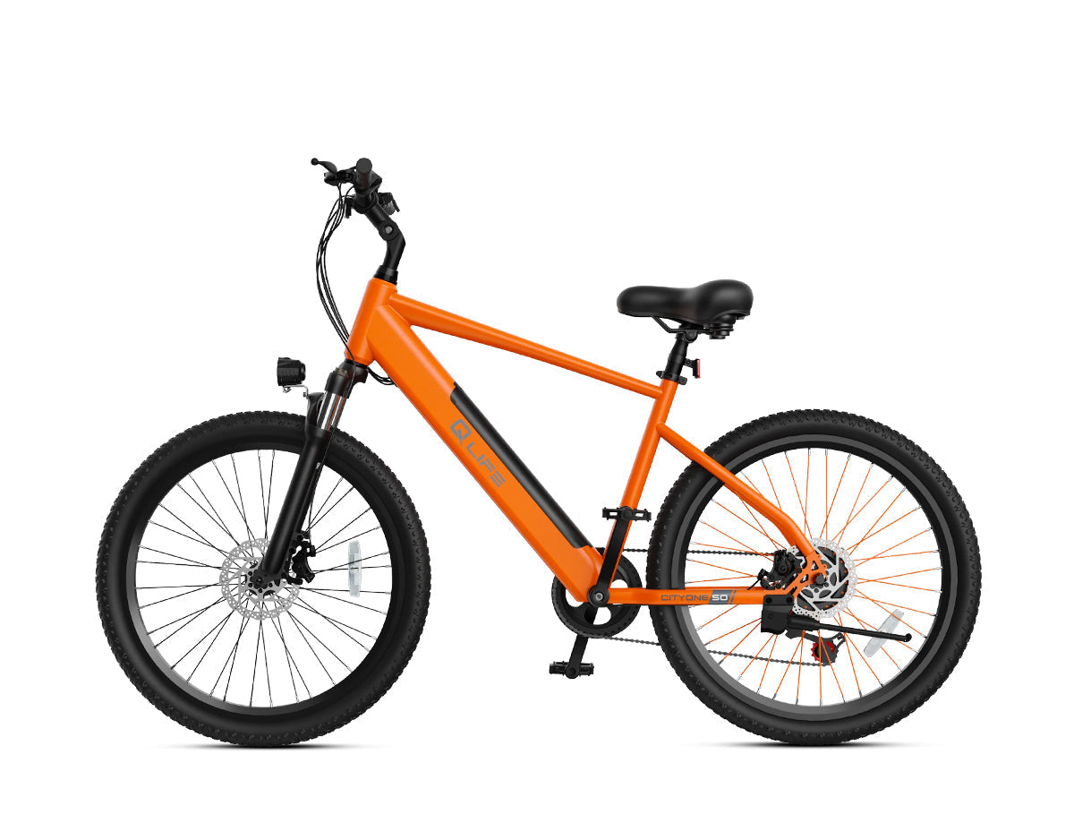 Cityone Step Over 2.0 Electric Mountain Bike