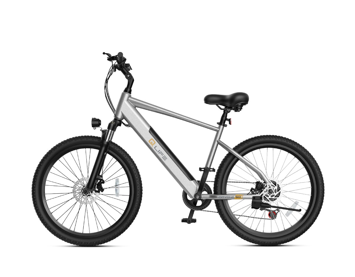 Cityone Step Over 2.0 Electric Mountain Bike