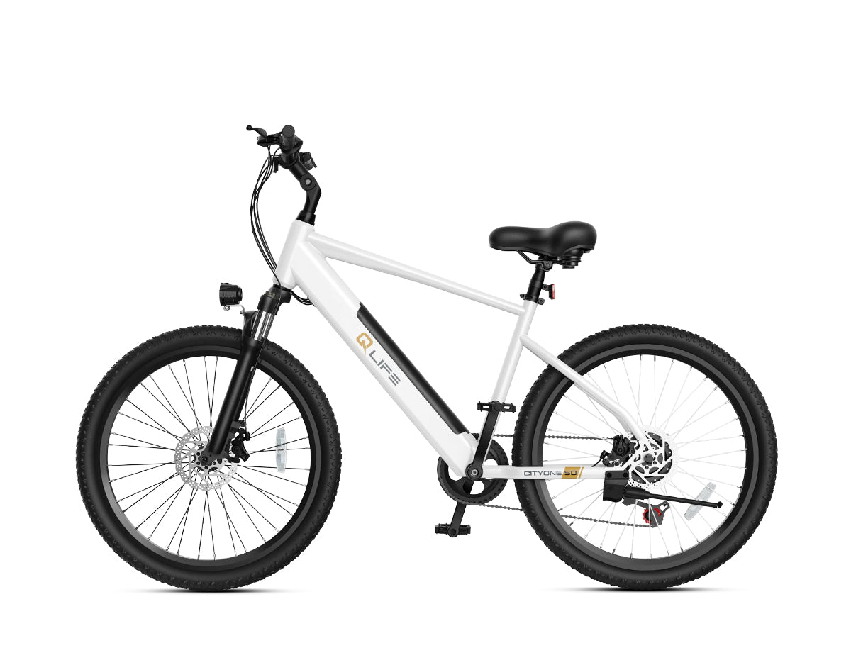 Cityone Step Over 2.0 Electric Mountain Bike