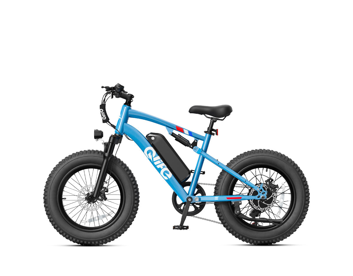 Racer 20x4.0'' Fat Tire 2.0 Electric Bike
