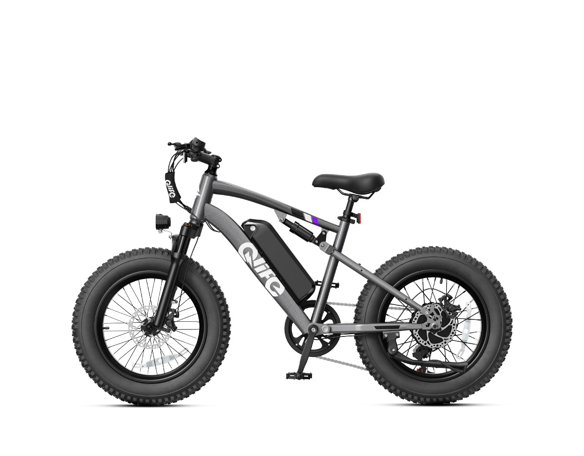 Racer 20x4.0'' Fat Tire 2.0 Electric Bike