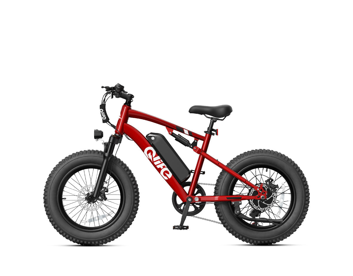 Racer 20x4.0'' Fat Tire 2.0 Electric Bike