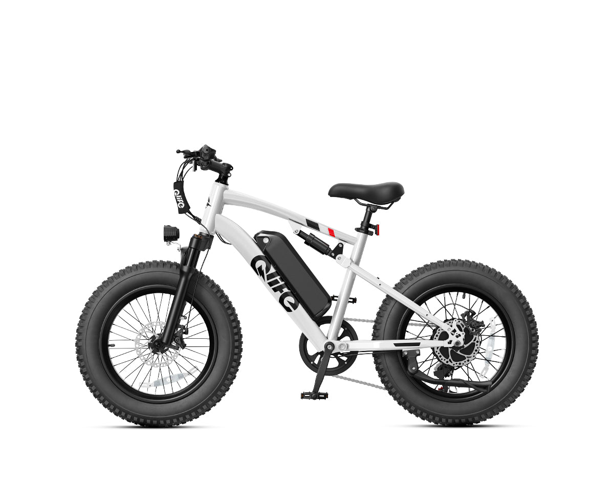 Racer 20x4.0'' Fat Tire 2.0 Electric Bike