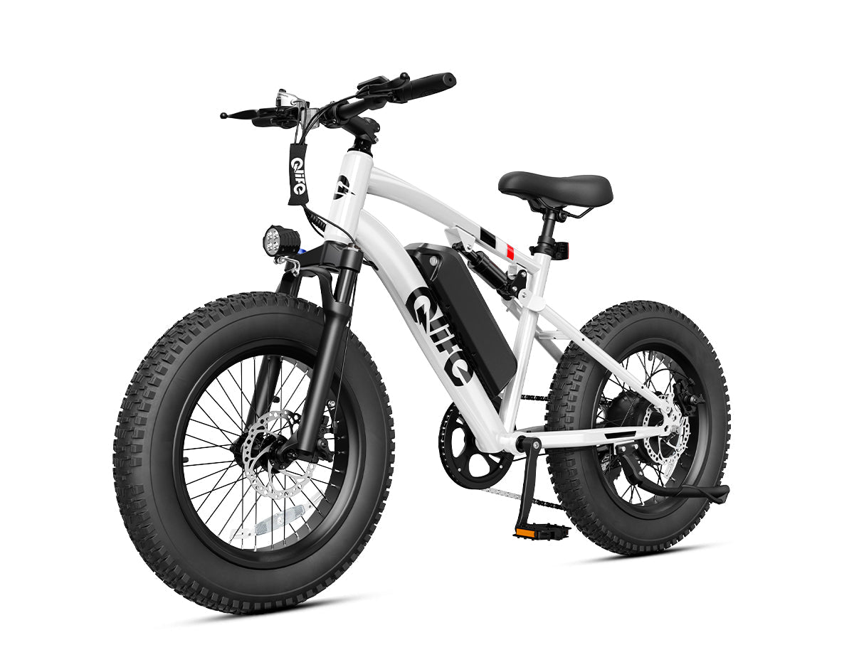Racer 20x4.0'' Fat Tire 2.0 Electric Bike