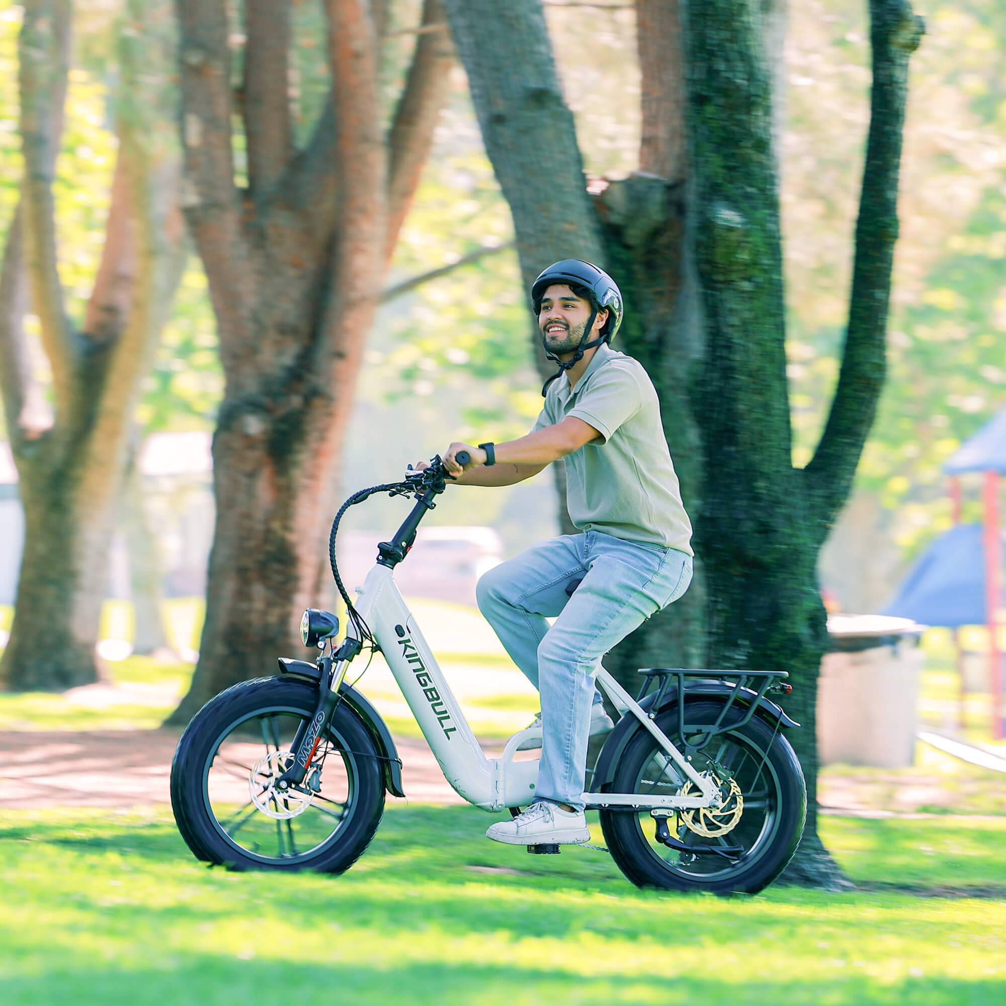 Pedod Literider 2.0 | All Terrain Fat Tire Folding Electric Bike