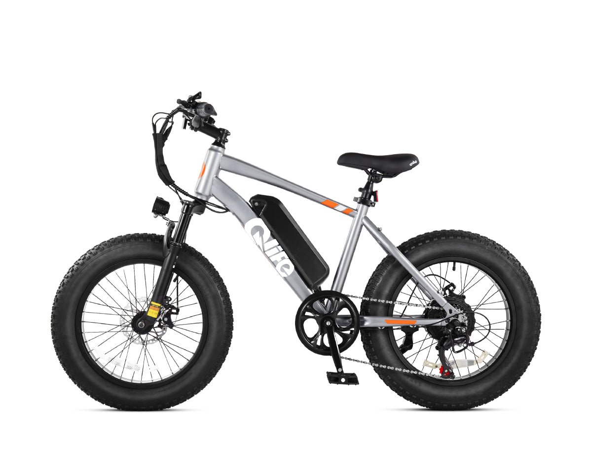 Racer 20x4.0'' Fat Tire Electric Bike For Adults