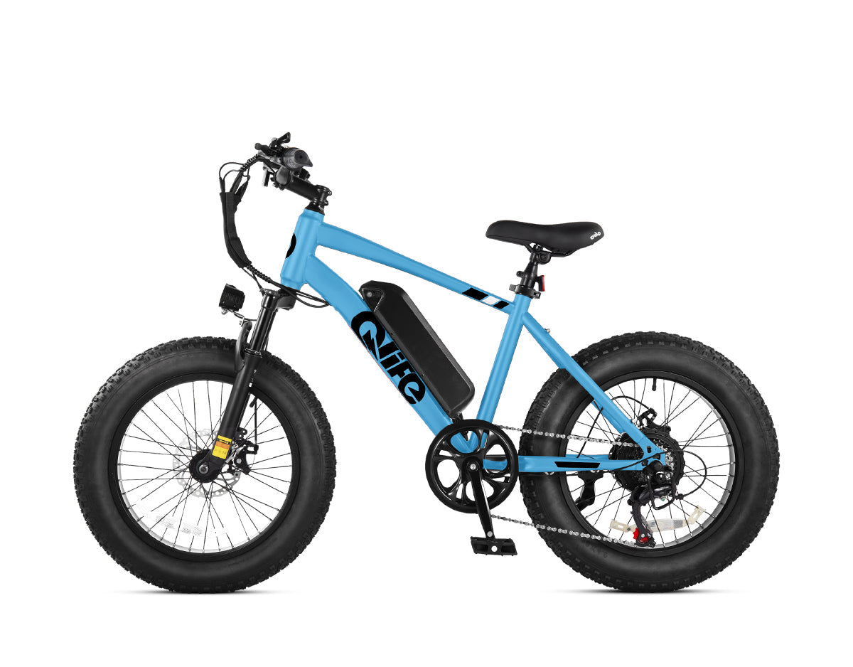 Racer 20x4.0'' Fat Tire Electric Bike For Adults