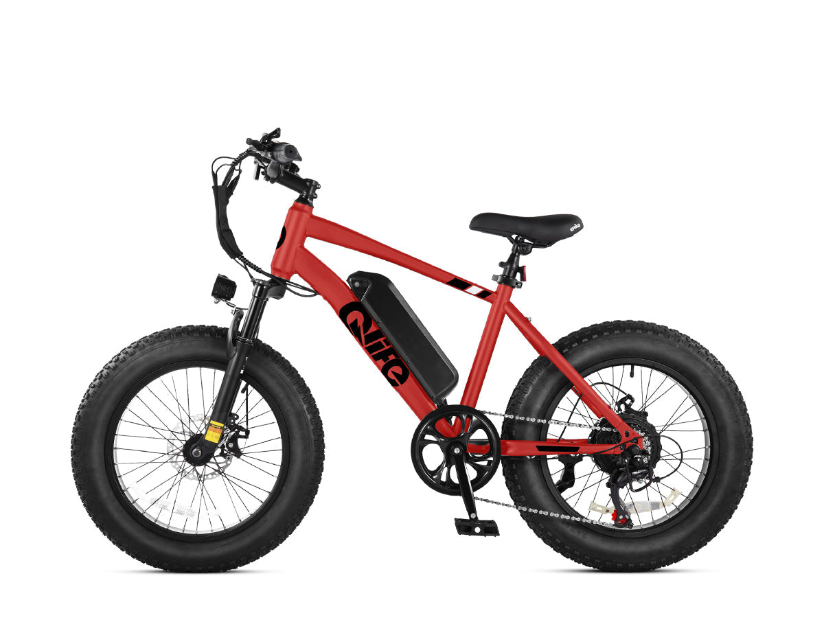 Racer 20x4.0'' Fat Tire Electric Bike For Adults