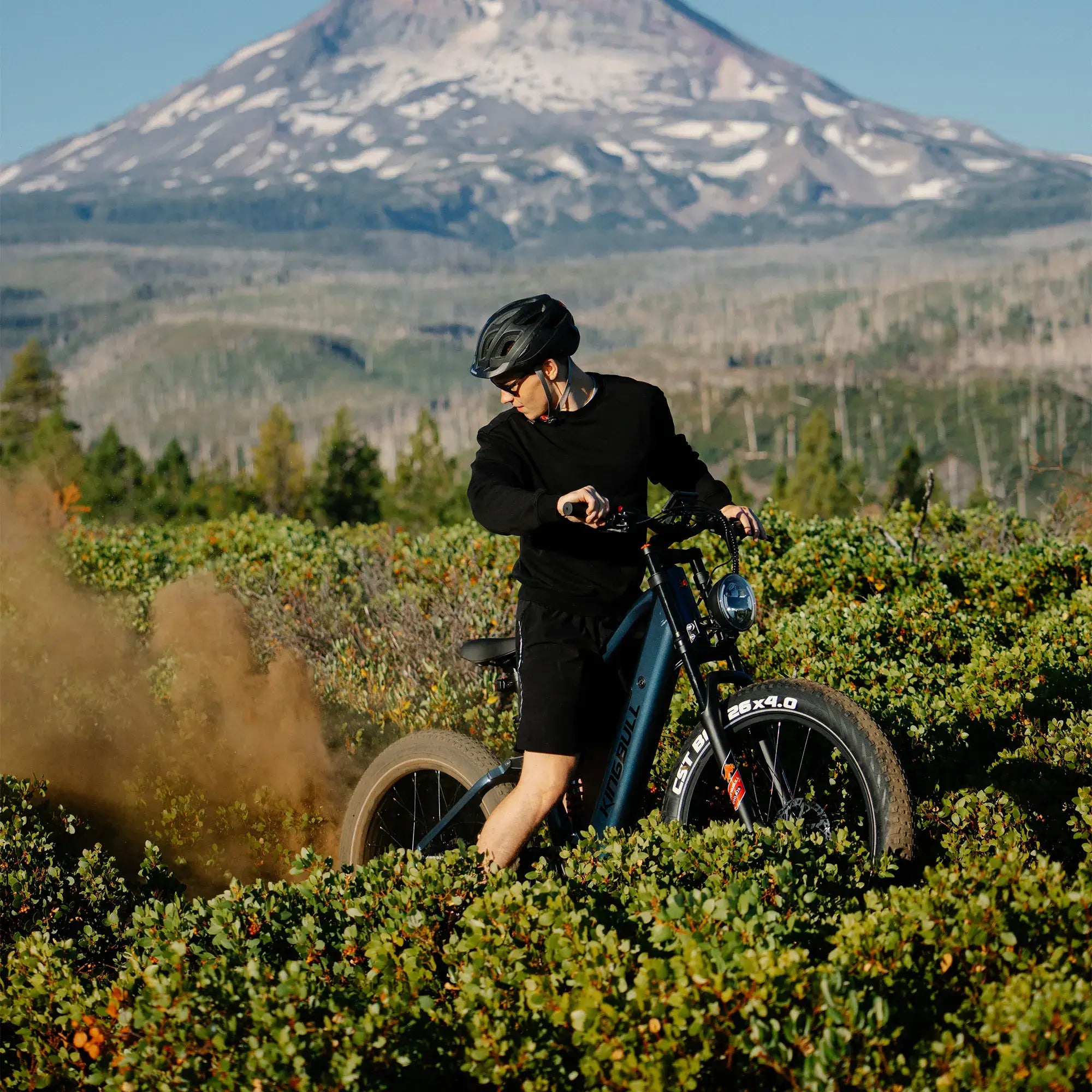 Pedod Rover 2.0 | All-Terrain Off-Road Electric Bike