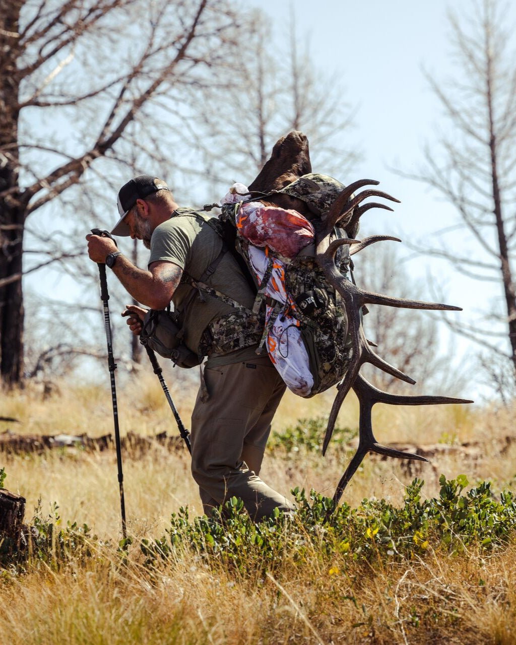 Team Elk