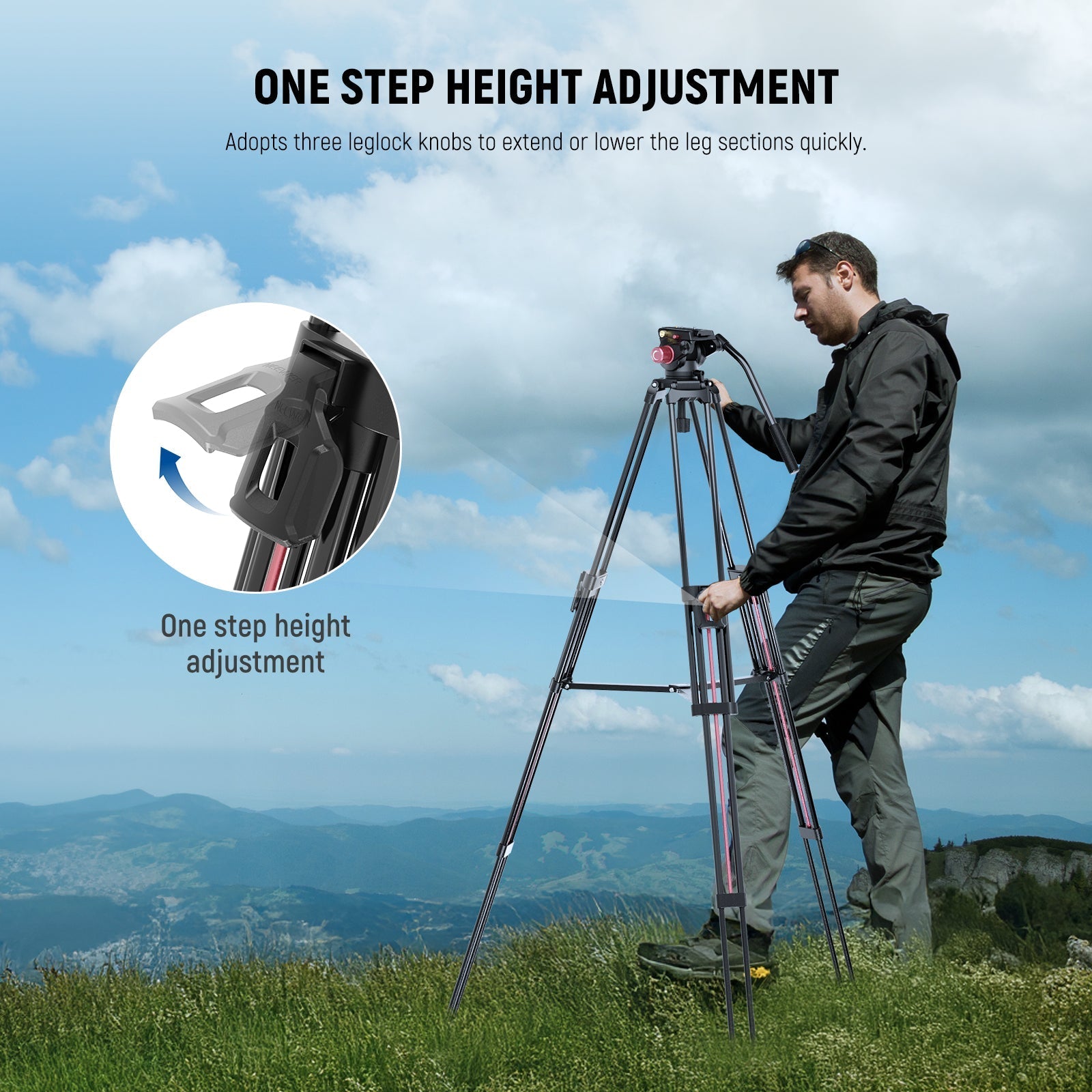 NEEWER LL38 79" Professional Video Tripod