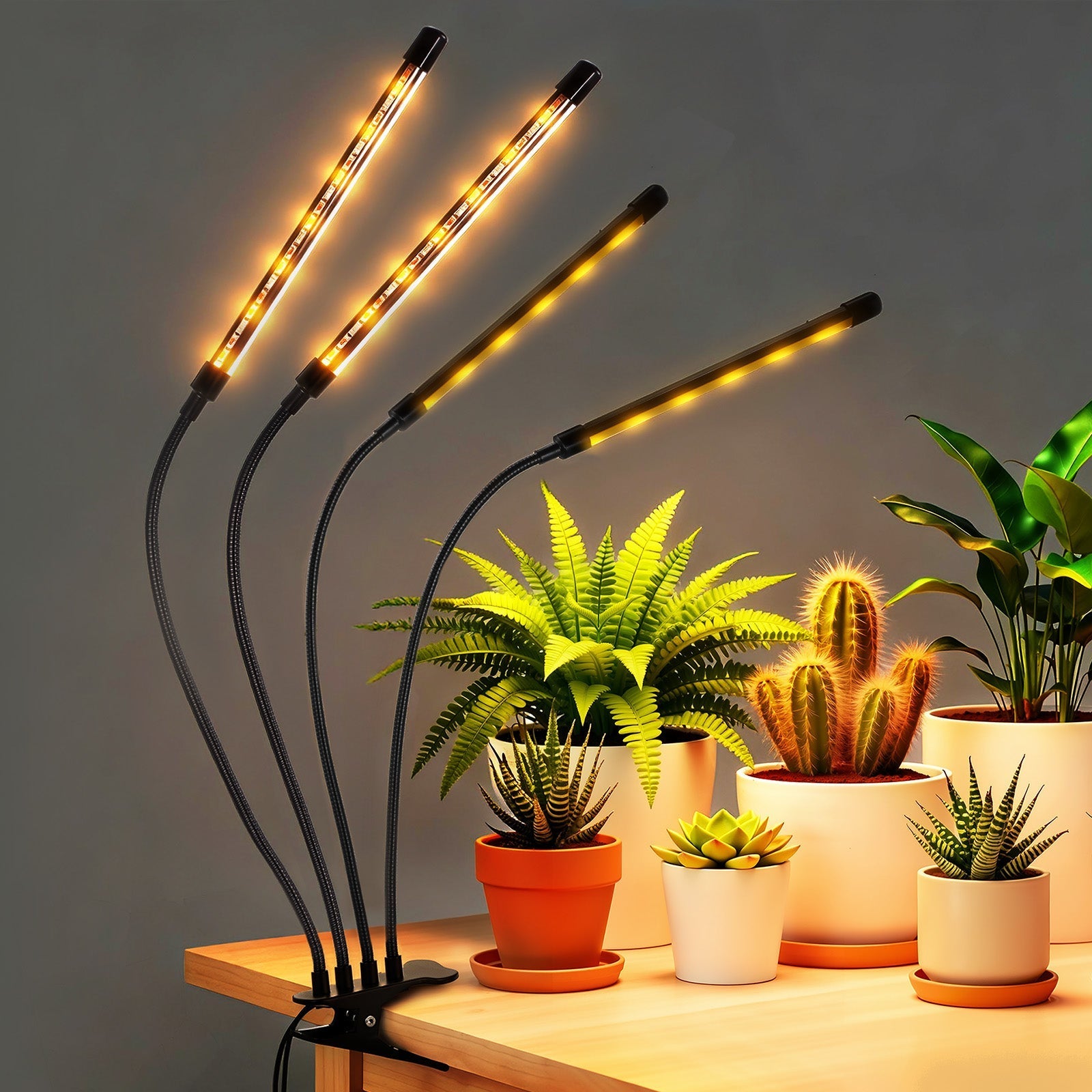 NEEWER ENTRY LEVEL VERSION N30 Full Spectrum Desk Grow Lights