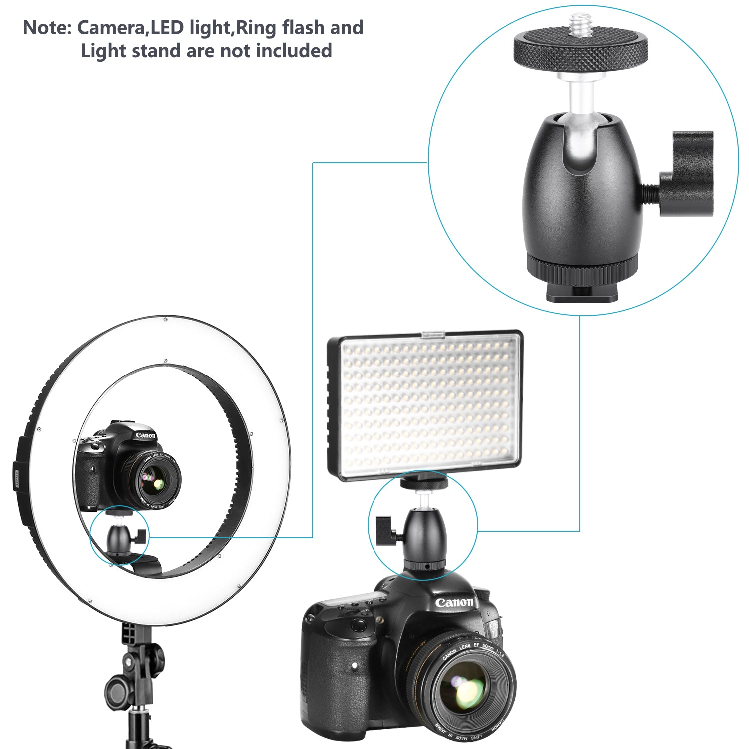 NEEWER GM-HS Hot Shoe Cradle Head