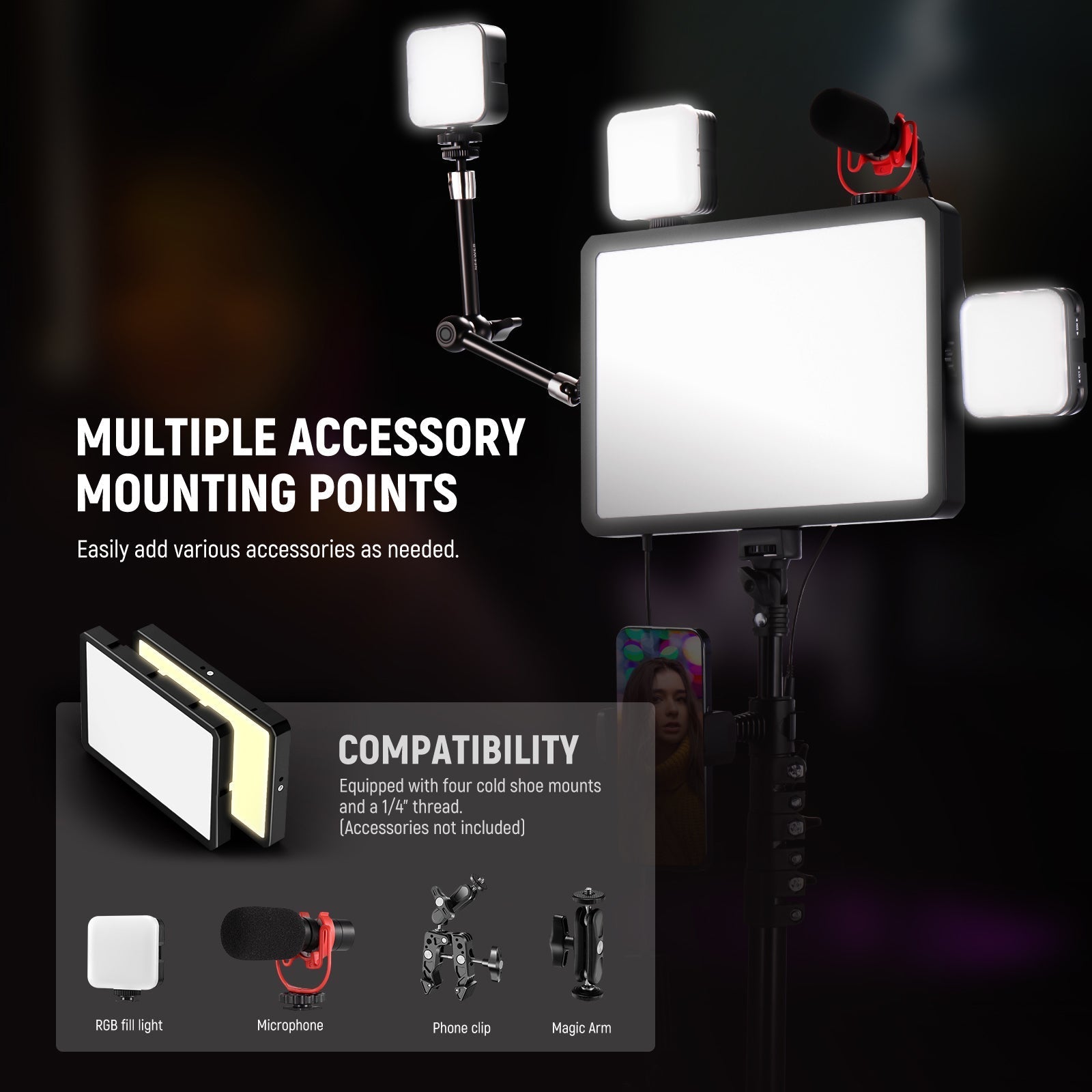 NEEWER BASICS BP300 Bi-Color LED Video Light Kit