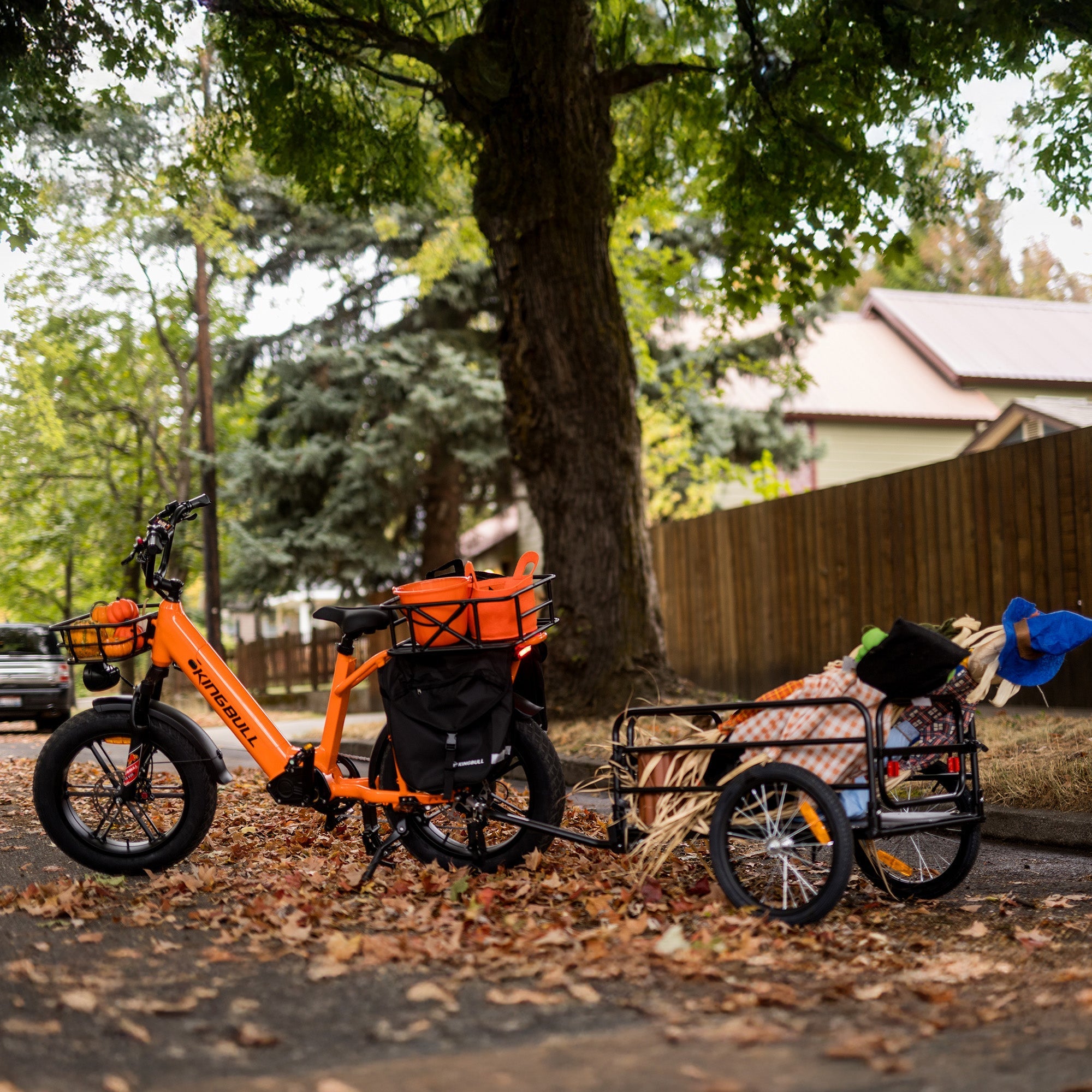 Pedod Voyager 2.0 | Fat Tire Electric Cargo Bike