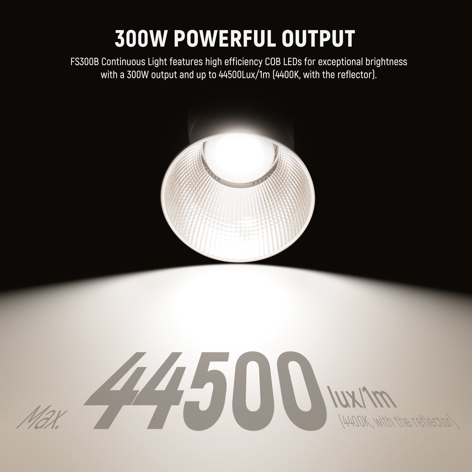 NEEWER FS300B 300W Bi-Color LED Video Light