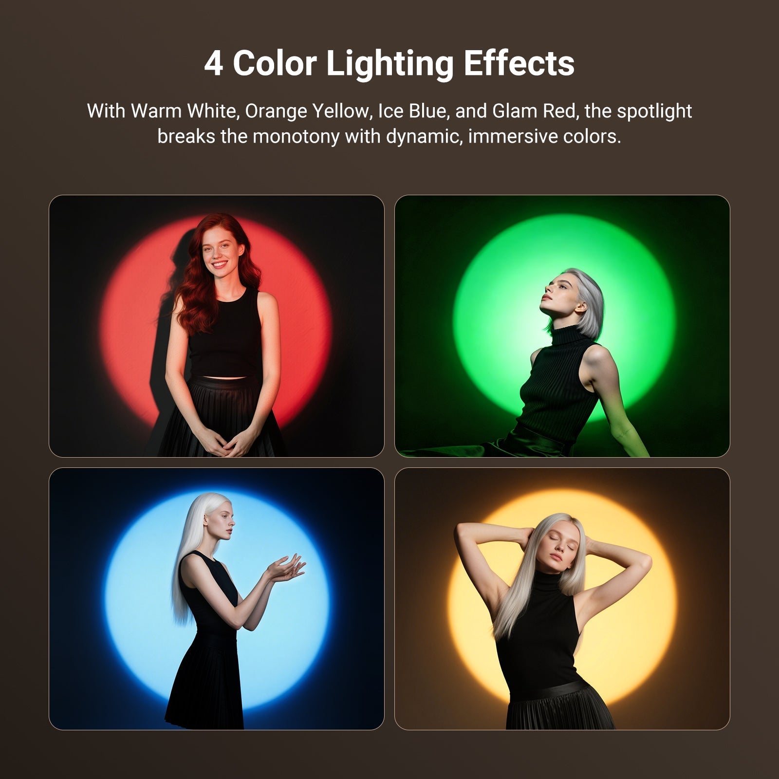 NEEWER FL12C Photography Spotlight