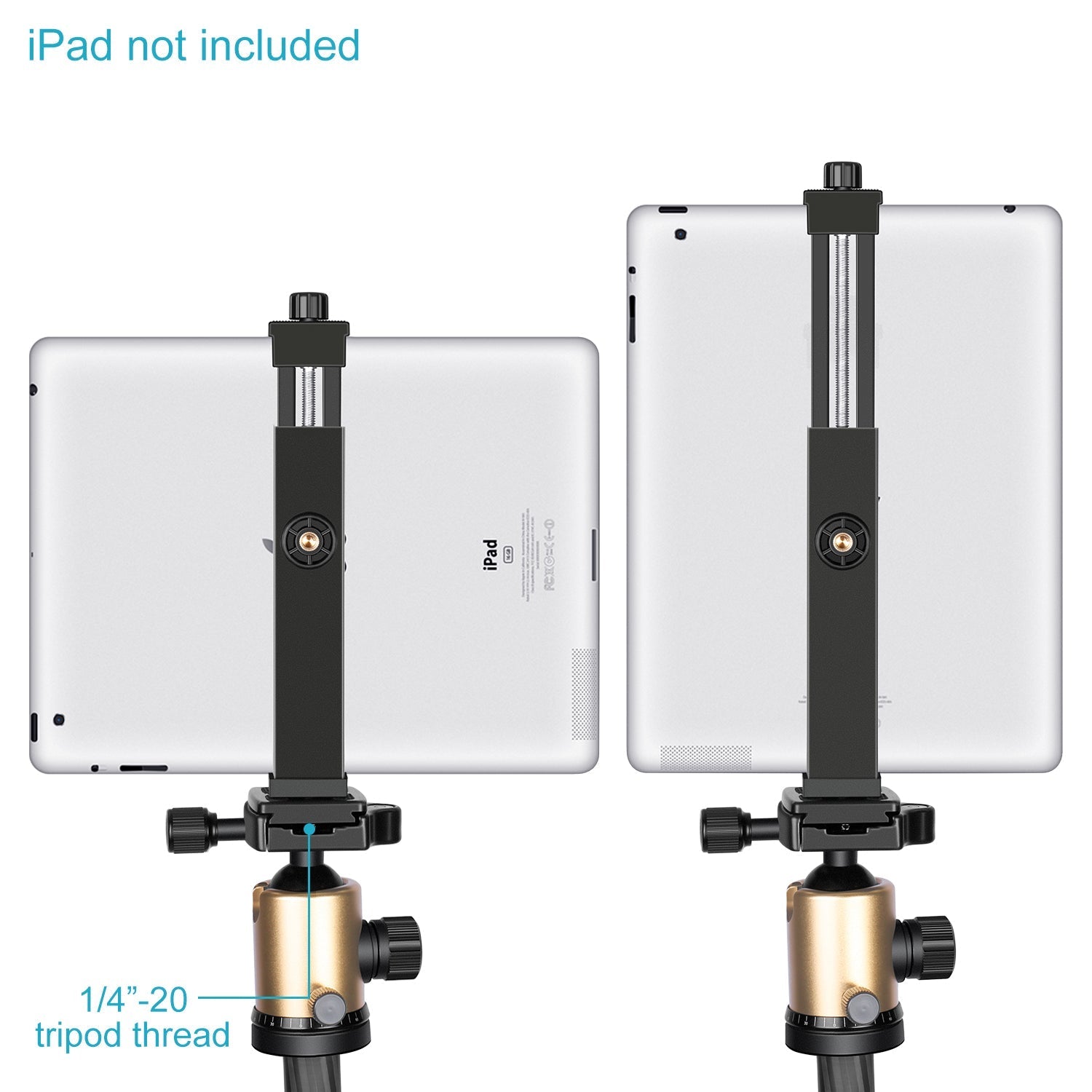 NEEWER 6.3-9.25 inch iPad Tablet Mount Holder
