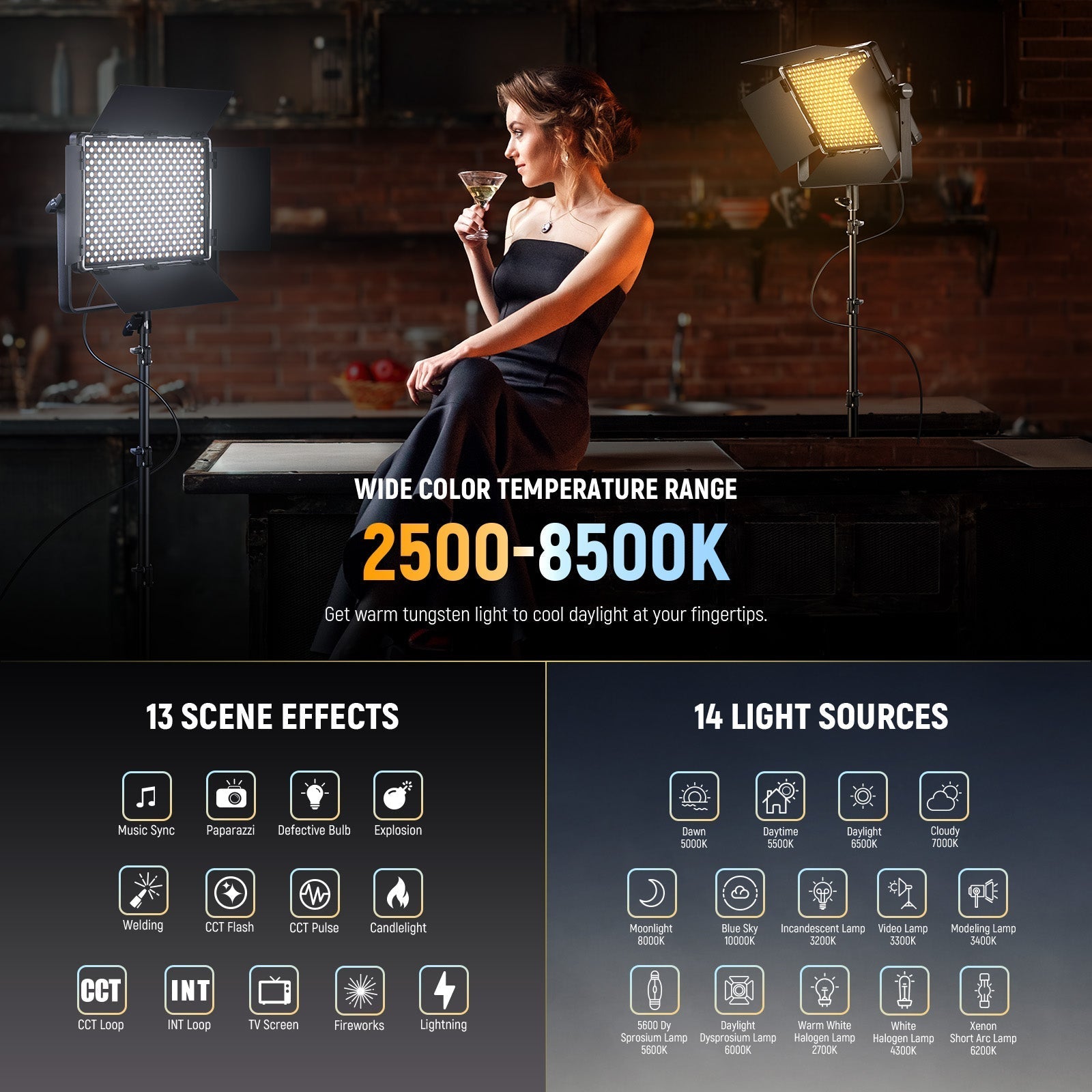 NEEWER PL60B Bi Color LED Panel Video Light