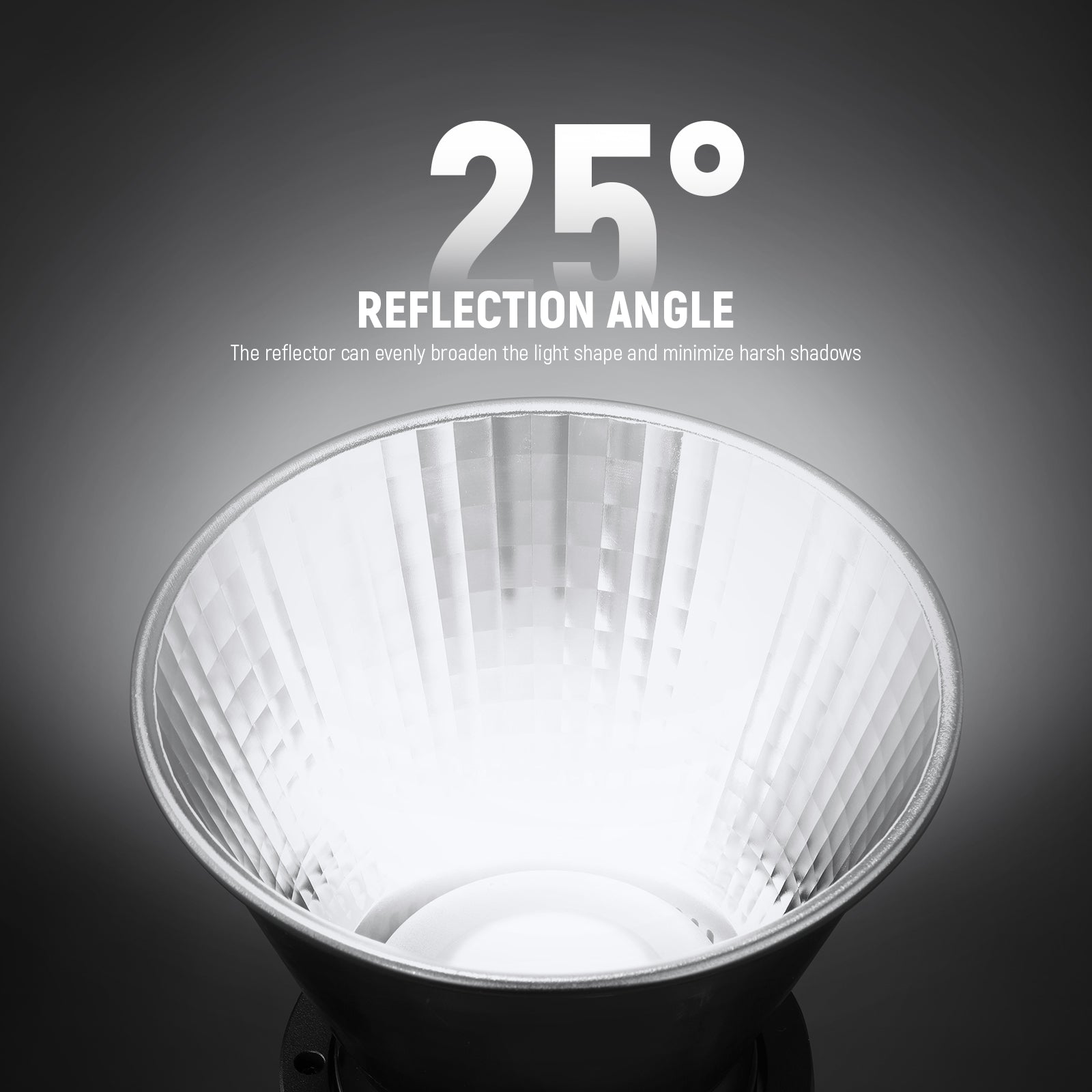 NEEWER RF1/RF2 Fish Scale Pattern Standard Reflector Diffuser