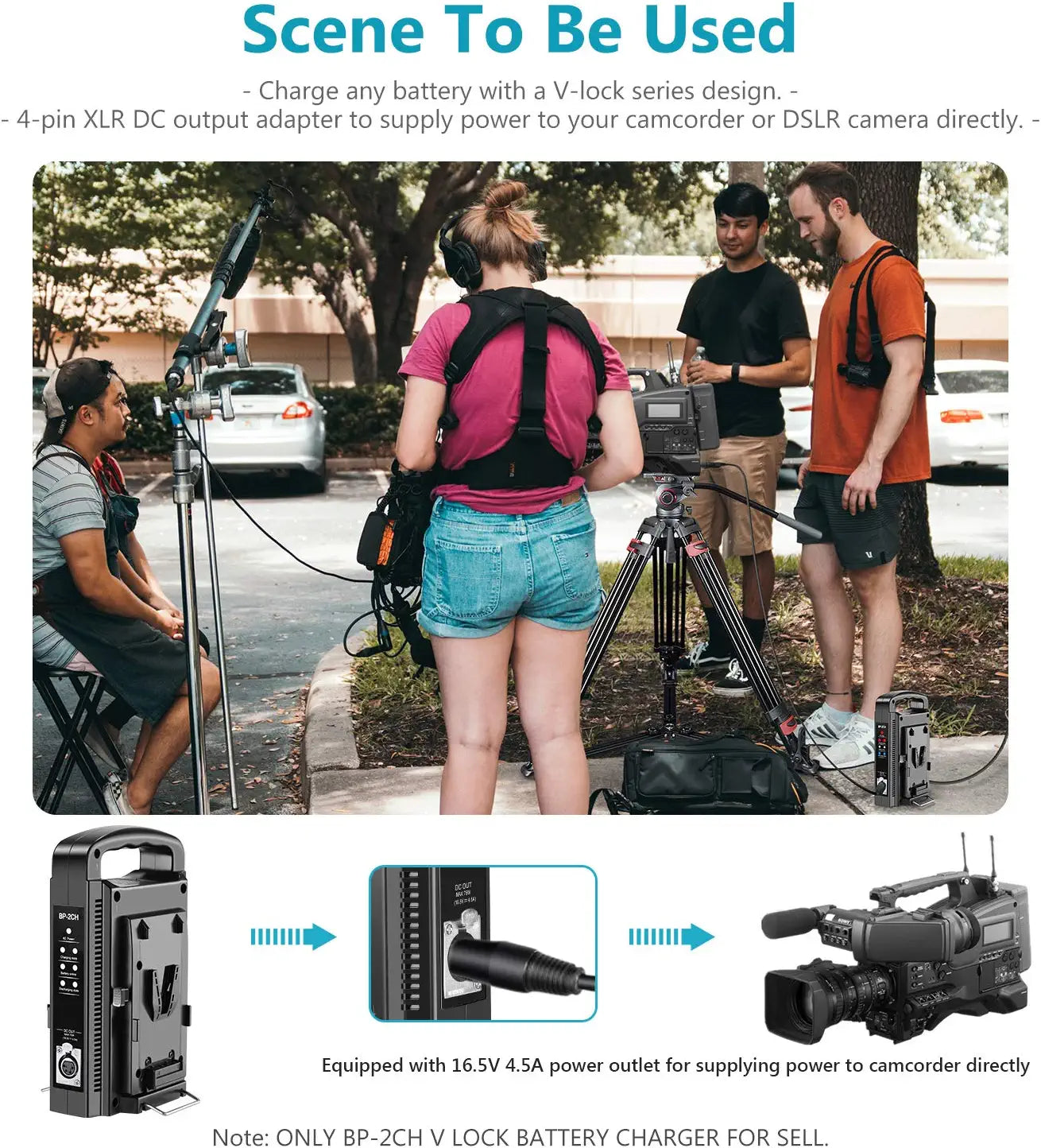 NEEWER NW-BP-2CH Dual Channel V-Mount/V Lock Battery Charger