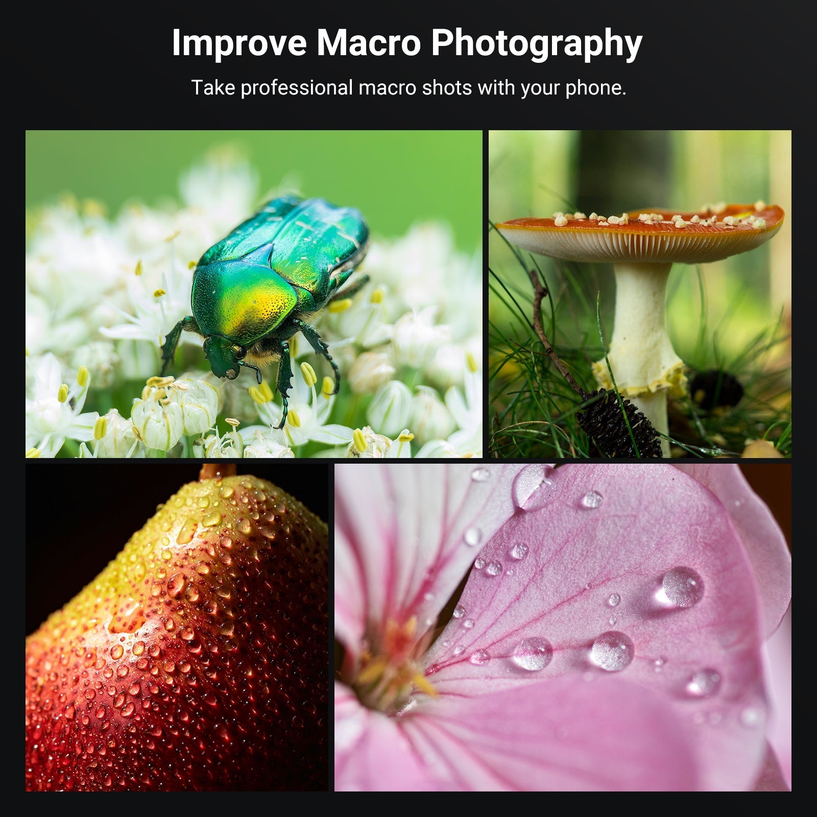 NEEWER LS-87 4 Pack Phone Macro Lens Kit