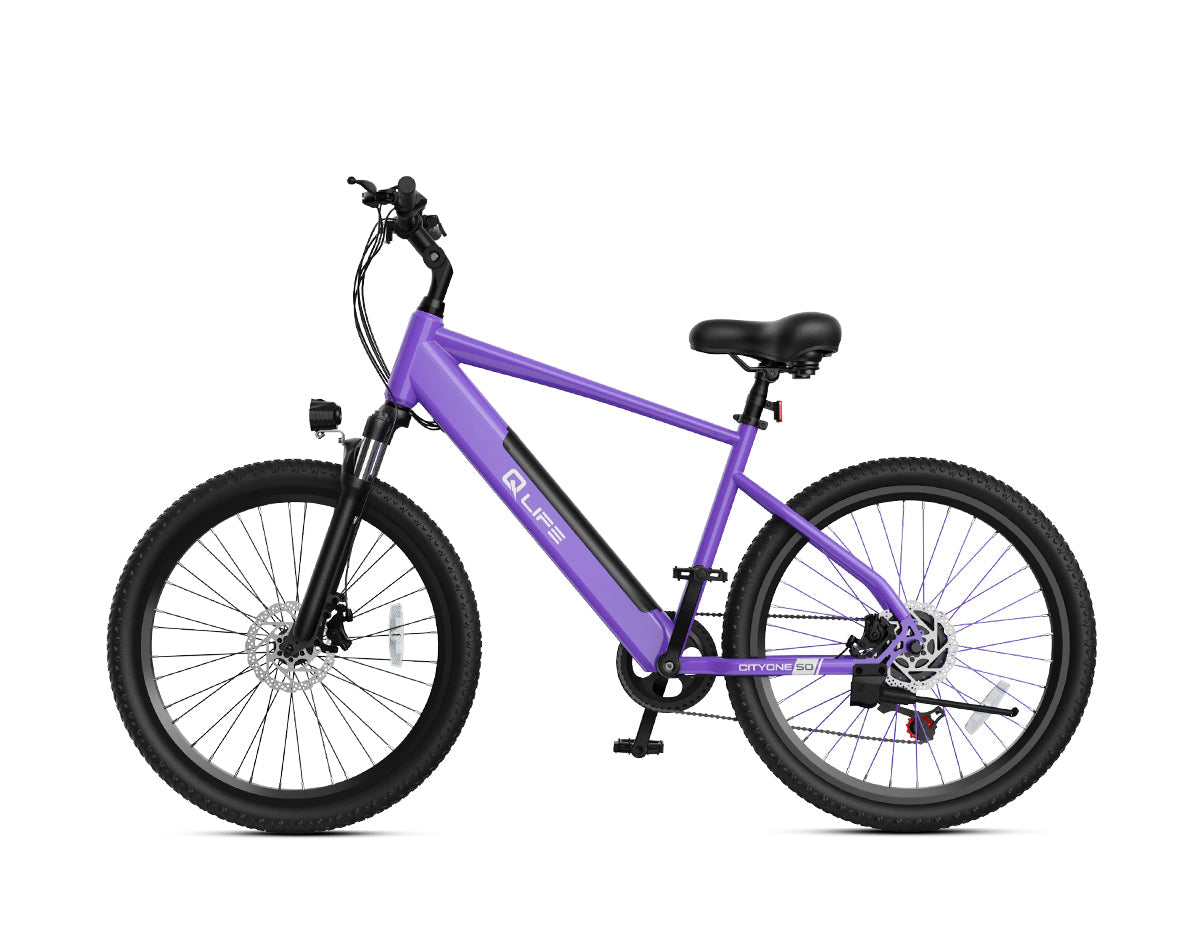 Cityone Step Over 2.0 Electric Mountain Bike