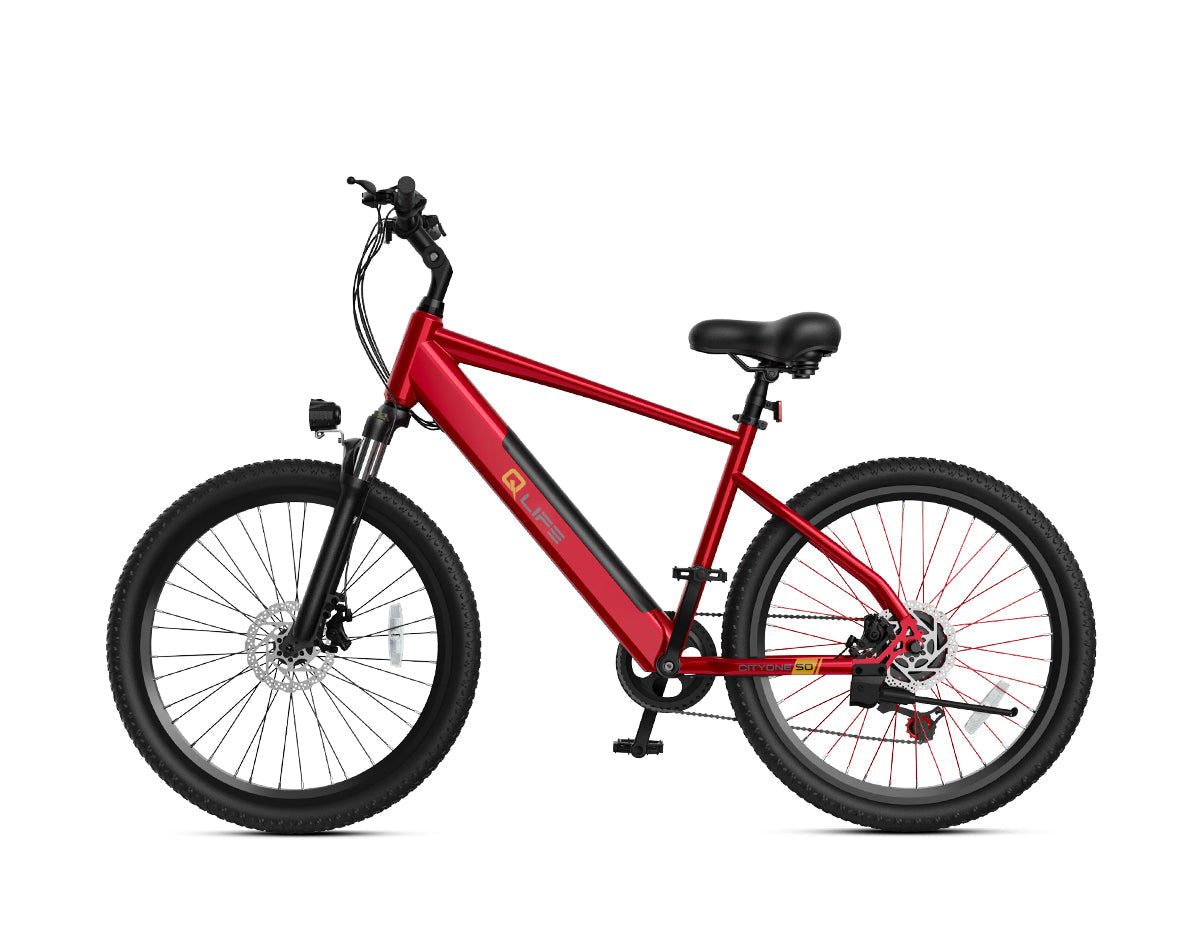Cityone Step Over 2.0 Electric Mountain Bike