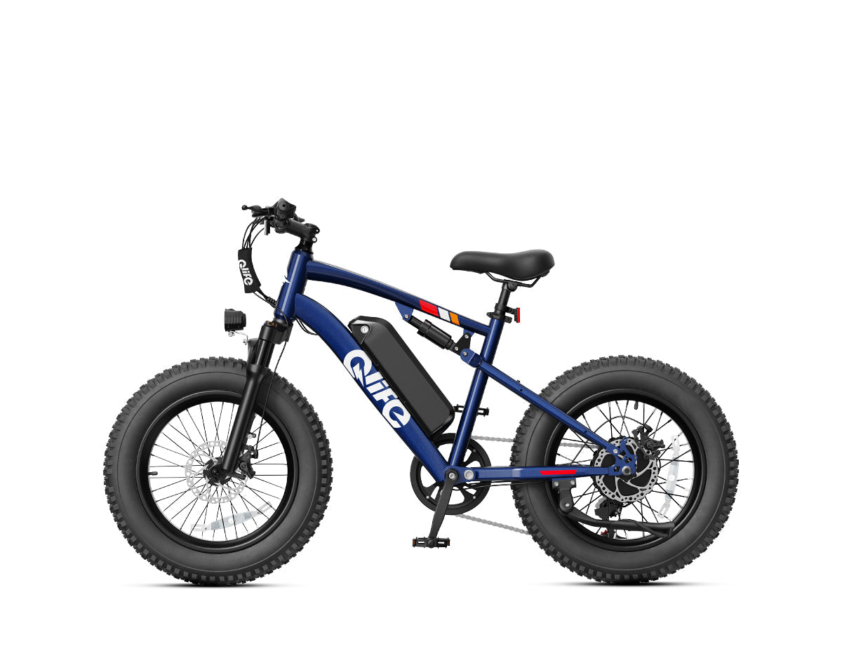 Racer 20x4.0'' Fat Tire 2.0 Electric Bike