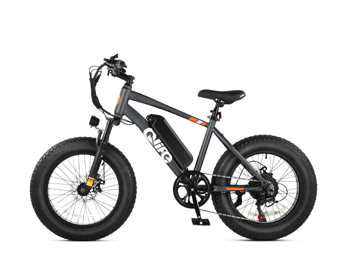 Racer 20x4.0'' Fat Tire Electric Bike For Adults