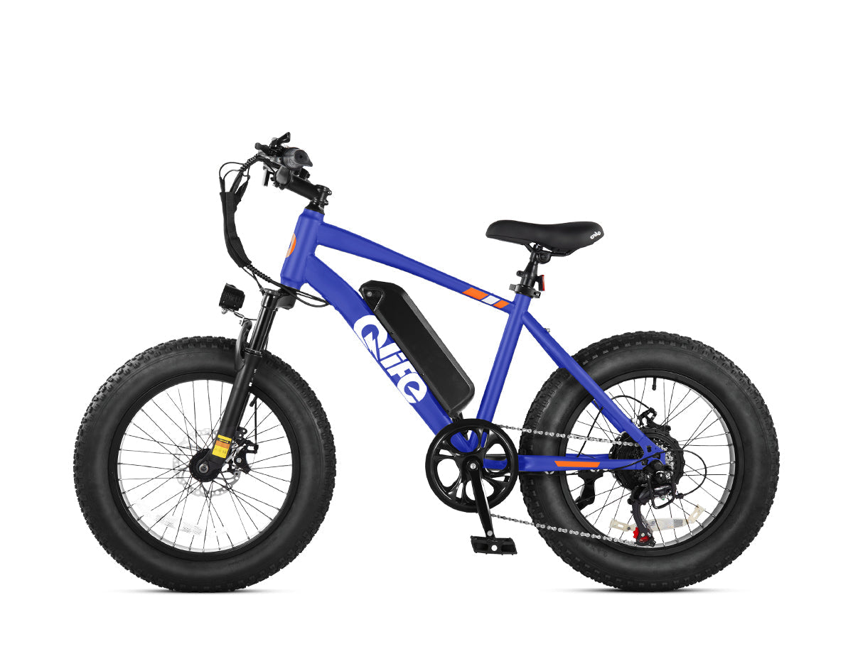 Racer 20x4.0'' Fat Tire Electric Bike For Adults